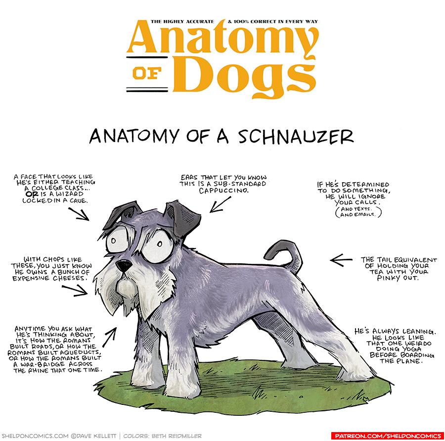 Anatomy of a Schnauzer Sheldon® Comic Strip