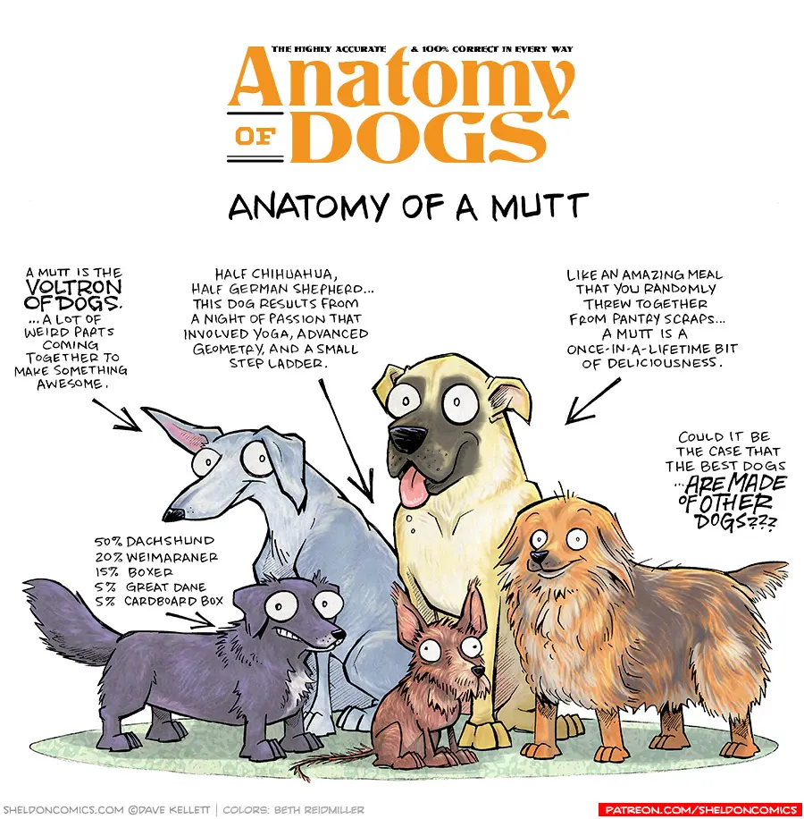 Anatomy of Dogs Archives - Sheldon® Comic Strip