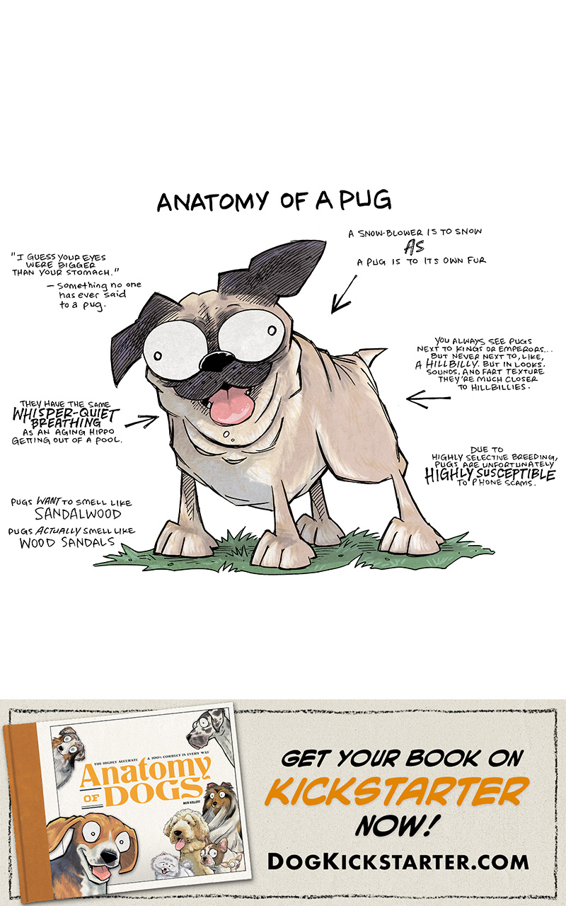 TITLE: The Highly Accurate and 100% Correct in Every Way Anatomy of Dogs
SUB HEADING: Anatomy of a Pug
DESCRIPTION: A faun pug stands on a patch of grass, one ear up, extremely large, bug-out eyes, tongue out.
Floating by head: “I guess your eyes were bigger than your stomach.” - Something no one has ever said to a pug.
Pointing to the neck: They have the same WHISPER-QUIET BREATHING as an aging hippo getting out of a pool.
Floating by legs: Pugs WANT to smell like SANDALWOOD. Pugs ACTUALLY smell like WOOD SANDALS.
Pointing to back: A snow-blower is to snow AS a pug is to its own fur.
Pointing to butt: You always see pugs next to to kings or emperors…but never next to, like, a. HILLBILLY. But ion looks, sounds, and far texture they’re must closer to hillbillies.
Floating by back legs: Our to highly selective breeding, pugs are unfortunately HIGHLY SUSCEPTIBLE to phone scams.
———
Get the book now at DogKickstarter.com!
Want 5,000 more comics like this? Join us at Patreon.com/sheldoncomics for the *FULL* Sheldon archives, art giveaways, fun community, and more! Sheldon Comics copyright Dave Kellett. Colors by Beth Reidmiller