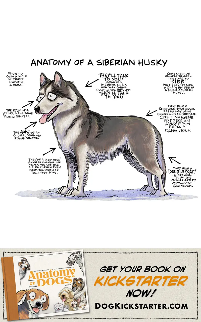 Dogs dogs dogs! Now on Kickstarter! - Sheldon® Comic Strip