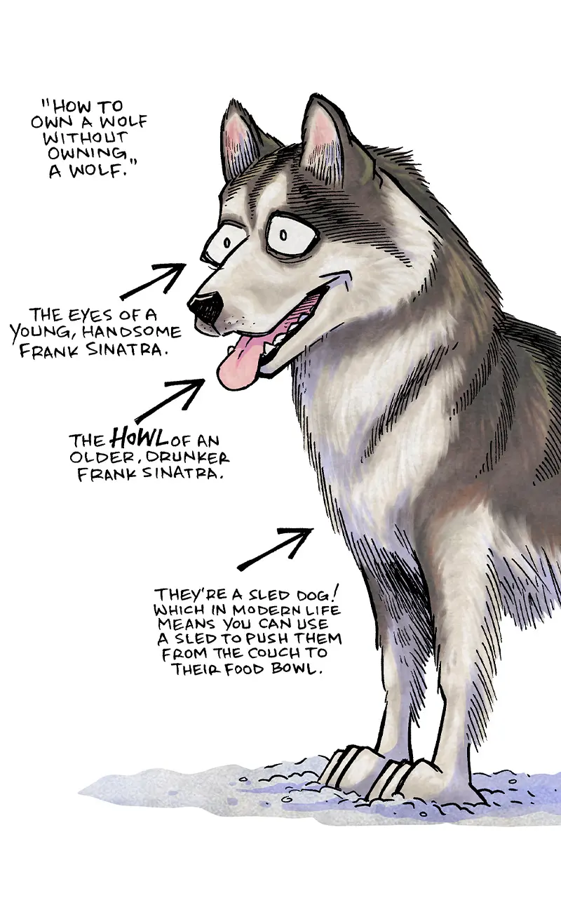 Dogs dogs dogs! Now on Kickstarter! - Sheldon® Comic Strip