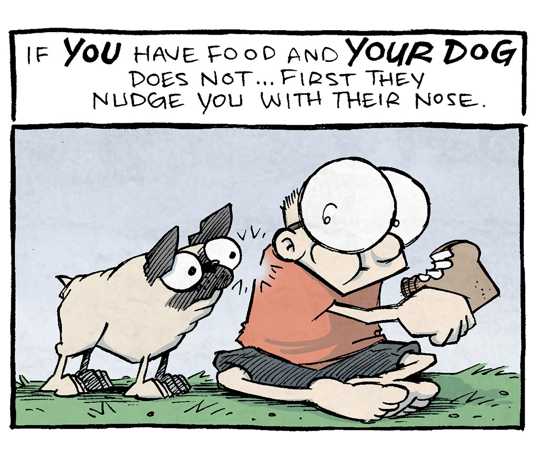PANEL 1: OSO, a fawn pug, bonks SHELDON, a ten year old boy with large glasses, on the back, begging for the sandwhich in SHELDON’s hands. SHELDON holds his sandwhich away as he chews.
NARRATION: If YOU have food and YOUR DOG does not…first they dudge you with their nose.

PANEL 2: OSO puts a paw on SHELDON’s back, as SHELDON takes another bite of his sandwhich.
NARRATION: Then they smack you with their paw.

PANEL 3: OSO sits facing away, but turns his towards SHELDON and opens his mouth wide in a bark. SHELDON sits eating his sandwich, eyebrows furrowed, annoyed.
NARRATION: Then they outright bark at you.

PANEL 4: Cut to a phone screen with OSO’s face very close to the camera. At the top right is the tiktok logo, with OSO’s handle: @YNOFÜD. OSO’s mouth is open as if he’s complaining loudly.
NARRATION: Then they go on like a 3-Minute diatribe on their TikTok.

———
Want 5,000 more comics like this? Join us at Patreon.com/sheldoncomics for the *FULL* Sheldon archives, art giveaways, fun community, and more! Sheldon Comics copyright Dave Kellett. Colors by Beth Reidmiller