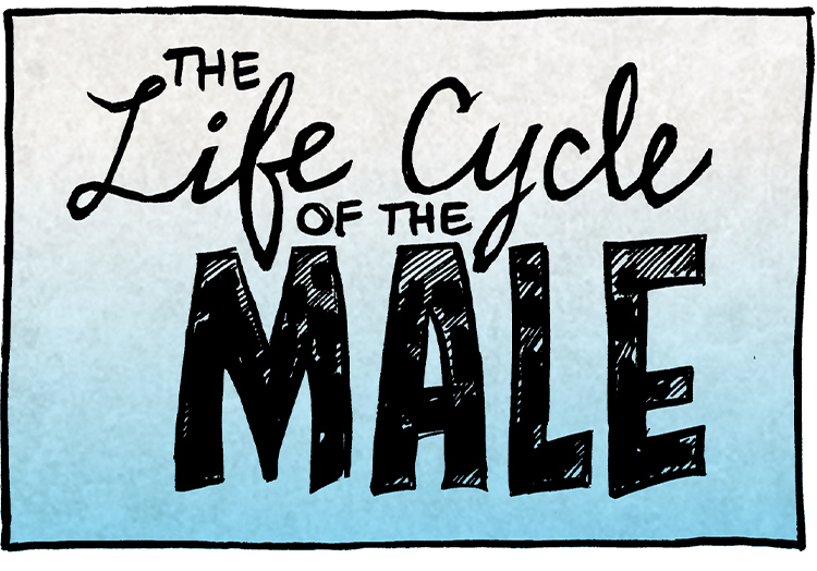 PANEL 1: “The Life Cycle of the MALE”

PANEL 2: A baby in a diaper and a tuft of brown hair sits on a blue background.

PANEL 3: A kid in a green striped shirt and short brown hair stands on a blue background.

PANEL 4: A teenager or young adult hunches with bad posture against a blue background. He wears an orange striped shirt and has messy brown hair.

PANEL 5: A slightly balding adult in a dark blue shirt stands against a blue background.

PANEL 6: GRAMP, an older bald man with a grey mustache, stands against a blue-fading-to-grey background. He wears a red shirt, his hands together as he expresses a thought.
GRAMP: I…I NEED to buy a pool table.
Voices from the edges of the panel, in separate voice bubbles: NO. NO. NO YOU DON’T.

PANEL 7: GRAMP slouches in disappointment, on a grey background.

———
Want 5,000 more comics like this? Join us at Patreon.com/sheldoncomics for the *FULL* Sheldon archives, art giveaways, fun community, and more! Sheldon Comics copyright Dave Kellett. Colors by Beth Reidmiller