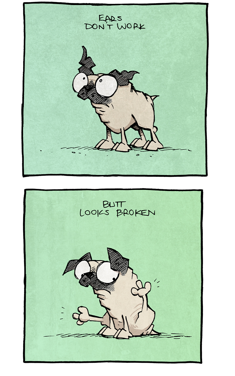 PANEL 1: OSO, the fawn pug, stands with one ear sticking up in a weird way. He looks up at it.
TEXT: Ears don’t work

PANEL 2: OSO sits on his butt with his back legs sticking straight up.
TEXT: Butt looks broken

PANEL 3: OSO runs with his legs going weird directions.
TEXT: Running don’t seem right

PANEL 4: OSO sits with his back legs facing the wrong way.
TEXT: This sitting seems off, too

PANEL 5: OSO stands turning in a way that he can look at his butt.
TEXT: Should the ends face each other like that?

PANEL 6: OSO lays on the ground, his face barely visible, tummy out, legs pointing in all different directions.
TEXT: Should it be tricky to…stand?
SFX: THUNK
OSO: hurm…

TEXT: …PUGS IS BROKEN

———
Want 5,000 more comics like this? Join us at Patreon.com/sheldoncomics for the *FULL* Sheldon archives, art giveaways, fun community, and more! Sheldon Comics copyright Dave Kellett. Colors by Beth Reidmiller
