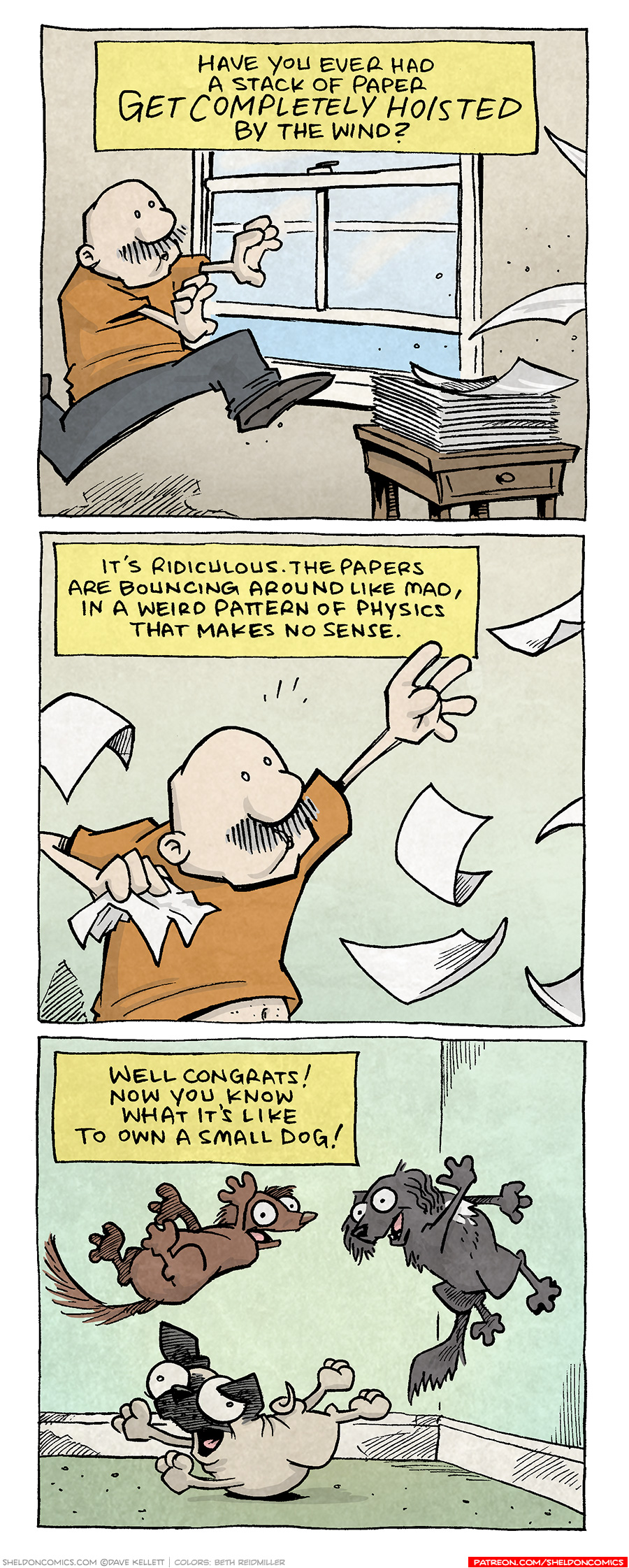 PANEL 1: GRAMP, an older bald man with a grey mustache, runs past an open window while a stack of papers on an end table starts to fly away in the wind.
NARRATION: Hav eyou ever had a stack of paper get completely hoisted by the wind?

PANEL 2: GRAMP grabs after flying pieces of paper, his shirt lifting up to show his belly.
NARRATION: It’s ridiculous. The papers are bouncing around like mad, in a weird pattern of physics that makes no sense.

PANLE 3: Three small dogs bounce around a room: OSO, a fawn pug, lays on his belly with all 4 legs stretched out. DIGBY, a brown daschund flies above OSO, twisting in the air. BISCUITS, a black mutt with wavy ears and a fluffy tail, leaps off the wall. All three have wide eyes and mouth open.
NARRATION: Well congrats! Now you know what it’s like to own a small dog!

——
Want 5,000 more comics like this? Join us at Patreon.com/sheldoncomics for the *FULL* Sheldon archives, art giveaways, fun community, and more! Sheldon Comics copyright Dave Kellett. Colors by Beth Reidmiller