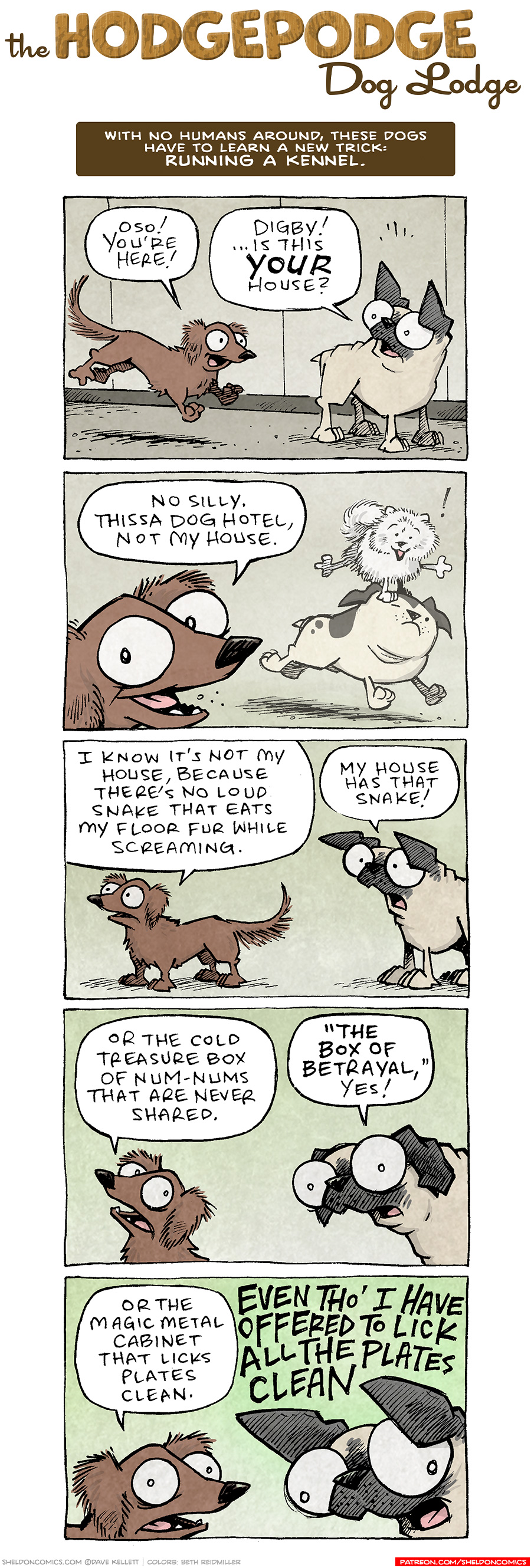 COMIC TITLE: “The Hodgepodge Dog Lodge”
Logline: With no humans around, these dogs have to learn a new trick: RUNNING A KENNEL.

PANEL 1: DIGBY, the brown long-haired dashchund, runs towards OSO, the fawn pug.
DIGBY: Oso! You’re here!
OSO: Digby! …is this YOUR house?

PANEL 2: In the background, the pomeranian rides on the head of the white-and-black spotted bulldog, legs out like he’s performing. In the foreground is DIGBY’s face, excited.
DIGBY: No silly. Thissa dog hotel, not my house.

PANEL 3: DIGBY stands thinking, while OSO responds next to him.
DIGBY: I know it’s not my house, because there’s no loud snake that eats my floor fur while screaming.
OSO: My house has that snake!

PANEL 4: DIGBY looks over his shoulder at OSO.
DIGBY: Or the cold treasure box of num-nums that are never shared.
OSO: “The box of betrayal,” yes!

PANEL 5: DIGBY, more intense, faces OSO, very intense.
DIGBY: Or the magic metal cabinet that licks plates clean.
OSO: EVEN THO’ I HAVE OFFERED TO LICK ALL THE PLATES CLEAN

——
Want 5,000 more comics like this? Join us at Patreon.com/sheldoncomics for the *FULL* Sheldon archives, art giveaways, fun community, and more! Sheldon Comics copyright Dave Kellett. Colors by Beth Reidmiller