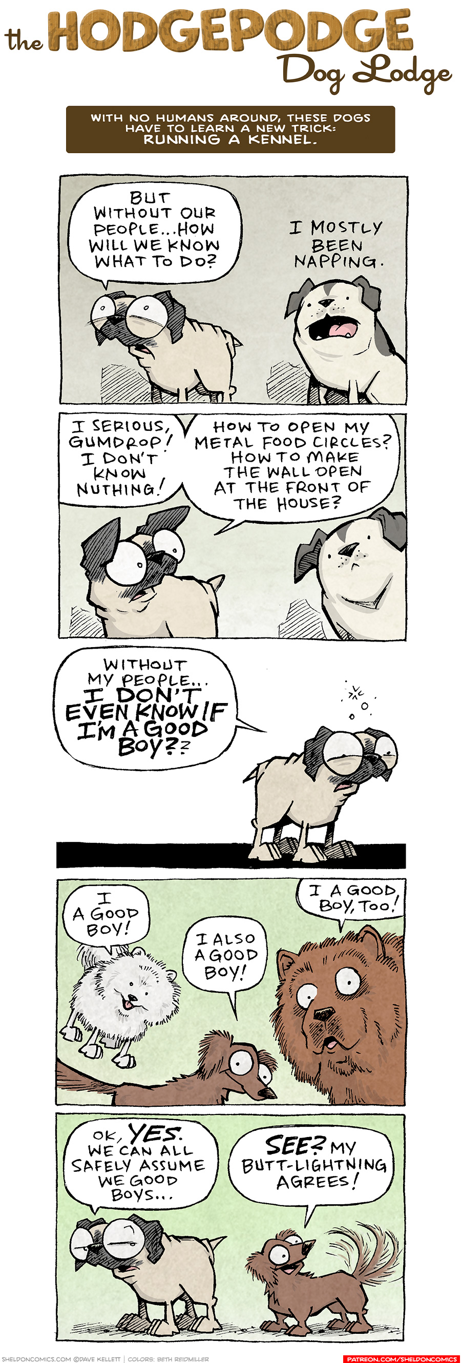 COMIC TITLE: “The Hodgepodge Dog Lodge”
Logline: With no humans around, these dogs have to learn a new trick: RUNNING A KENNEL.

PANEL 1: OSO, the fawn pug, looks up in worry. Next to him sits the white and black spotted pitbull, GUMDROP.
OSO: But without our people…how will we know what to do?
GUMDROP: I mostly been napping.

PANEL 2: OSO looks at GUMDROP, who just stares back.
OSO: I serious, Gumdrop! I don’t know nuthing! How to open my metal food circles? How to make the wall open at the front of the house?

PANEL 3: OSO stands alone on a blank background, eyes squinting in worry.
OSO: Without my people…I DON’T EVEN KNOW IF I’M A GOOD BOY??

PANEL 4: The white POMERANIAN bounces above DIGBY, the brown dashchund, who stands next the large fluffy CHOW-CHOW.
POMERANIAN: I a good boy!
DIGBY: I also a good boy!
CHOW-CHOW: I a good boy, too!

PANEL 5: OSO, unimpressed, side-eyes DIGBY, who stands next to him, wagging his tail.
OSO: Ok, YES. We can all safely assume we good boys…
DIGBY: SEE? My butt-lightning agrees!

———
Want 5,000 more comics like this? Join us at Patreon.com/sheldoncomics for the *FULL* Sheldon archives, art giveaways, fun community, and more! Sheldon Comics copyright Dave Kellett. Colors by Beth Reidmiller