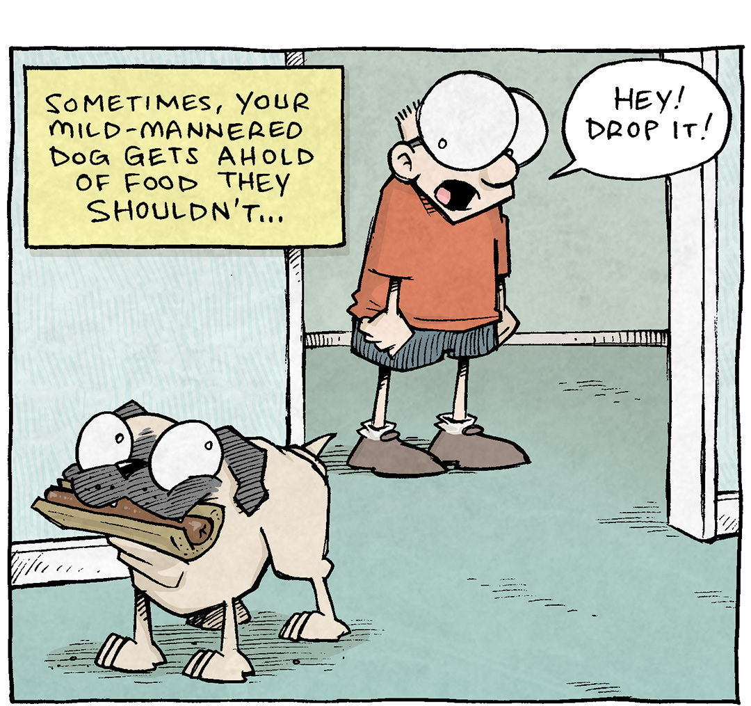 PANEL 1: SHELDON, a ten-year old boy with large glasses, stands in the doorway of a hallway while OSO, a fawn pug, stands in the foreground with a full hotdog in a bun in his mouth.
NARRATION: Sometimes, your mild-mannered dog gets ahold of food they shouldn’t…
SHELDON: Hey! Drop it!

PANEL 2: SHELDON puts his hands on his hip and frowns as OSO continues to keep the hotdog in his mouth. ARTHUR, the yellow duck, joins the scene by yelling at OSO.
NARRATION: And in that moment, your gentle pup makes a MONUMENTAL DECISION.
ARTHUR: Hey! He said drop it!

PANEL 3: SHELDON wrestle OSO, legs and arms flying. ARTHUR runs towards them, FLACO the green lizard flies in from the side to aid, and GRAMP’s hands come in from the side as well. The hotdog remains in OSO’s mouth.
NARRATION: They will not go gentle into that good night
Text in a bright yellow burst: RAGE! RAGE AGAINST THE DYING OF THE LIGHT!

———
Want 5,000 more comics like this? Join us at Patreon.com/sheldoncomics for the *FULL* Sheldon archives, art giveaways, fun community, and more! Sheldon Comics copyright Dave Kellett. Colors by Beth Reidmiller
