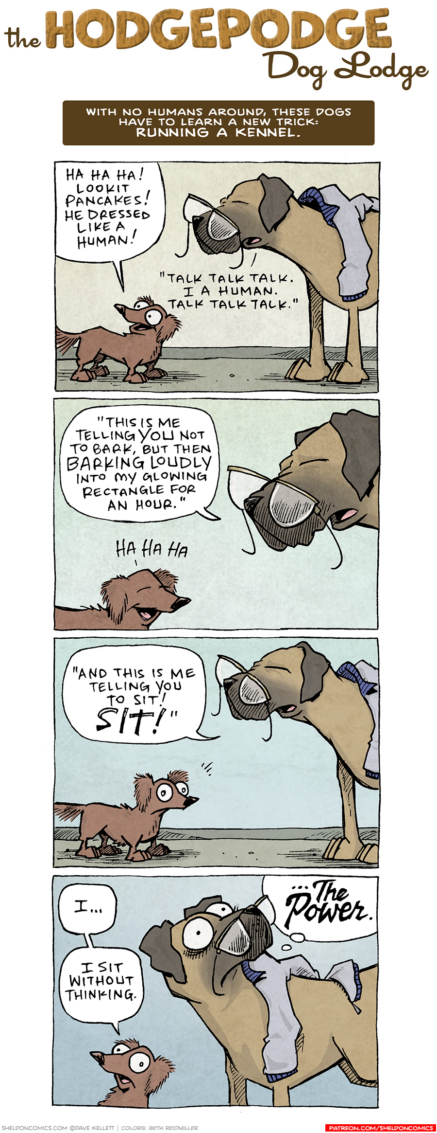 COMIC TITLE: “The Hodgepodge Dog Lodge”
Logline: With no humans around, these dogs have to learn a new trick: RUNNING A KENNEL.
PANEL 1: DIGBY, the brown dachshund, stands next to PANCAKES, the fawn great dane. PANCAKES is wearing glasses on his nose, and a jacket thrown across his back.
DIGBY: Ha ha ha! Lookit Pancakes! He dressed like a human!
PANCAKES: “Talk talk talk. I a human. Talk talk talk.”
PANEL 2: Close up on DIGBY as he chuckles at PANCAKES’ impression, standing above him.
PANCAKES: “This is me telling YOU not to bark, but then BARKING LOUDLY into my glowing rectangle for an hour”
DIGBY: Ha ha ha
PANEL 3: DIGBY stands shocked, as PANCAKES continues.
PANCAKES: “And this me telling you to sit! SIT!”
PANEL 4: DIGBY, sitting, responds. While PANCAKES realizes something.
DIGBY: I…I sit without thinking.
PANCAKES: …THE POWER.
———
Want to read the full story? Join us at Patreon.com/drive for the *FULL* Tales of the Drive archives, art giveaways, fun community, and more! DRIVE copyright Dave Kellett. Colors by Beth Reidmiller