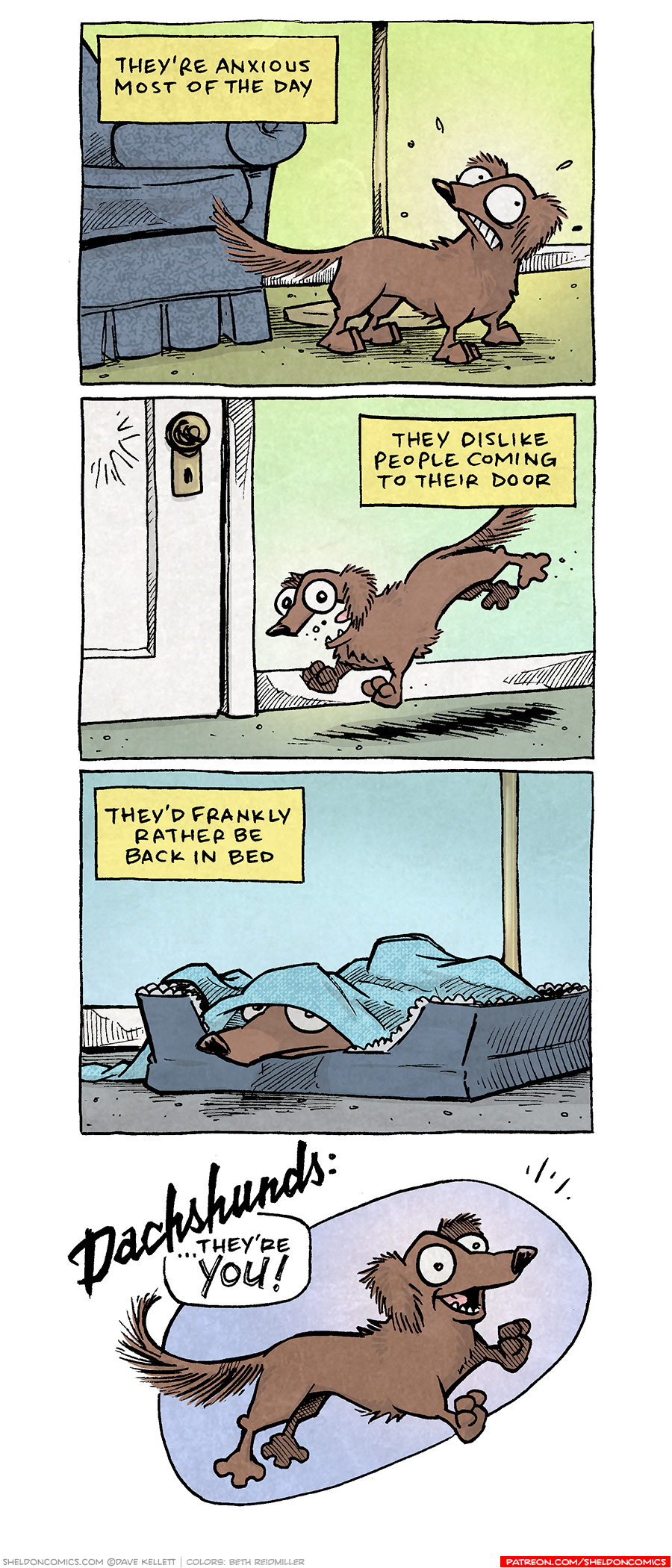 PANEL 1: DIGBY, a brown dachshund, stands next to a blue sofa, looking nervous.
NARRATION: THey’re anxious most of the day.
PANEL 2: DIGBY runs towards a door, mouth wide open in a bark.
NARRATION: They dislike people coming to their door.
PANEL 3: DIGBY lays in a dog bed with a blanket over him, just his nose and eyes sticking out.
NARRATION: They’d frankly rather be back in bed.
PANEL 4: DIGBY leaps across an oblong purple background, face is excited.
TEXT: DACHSHUNDS: ….they’re YOU!
——
Want 5,000 more comics like this? Join us at Patreon.com/sheldoncomics for the *FULL* Sheldon archives, art giveaways, fun community, and more! Sheldon Comics copyright Dave Kellett. Colors by Beth Reidmiller