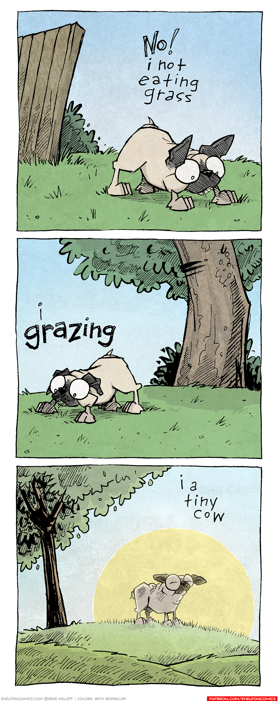PANEL 1: OSO, the fawn pug, leans down, eating a mouth full of grass. Behind him is the end of a fence and a bush.
Text: No! i not eating grass

PANEL 2: In front of a big, leafy tree, OSO eats more grass.
Text: i grazing

PANEL 3: A panel bathed in warm light, three hills with a leafy tree encapsulate OSO, head up, hears sticking straight out. Behind him is a huge yellow sun.
Text: i a tiny cow

———
Want 5,000 more comics like this? Join us at Patreon.com/sheldoncomics for the *FULL* Sheldon archives, art giveaways, fun community, and more! Sheldon Comics copyright Dave Kellett. Colors by Beth Reidmiller