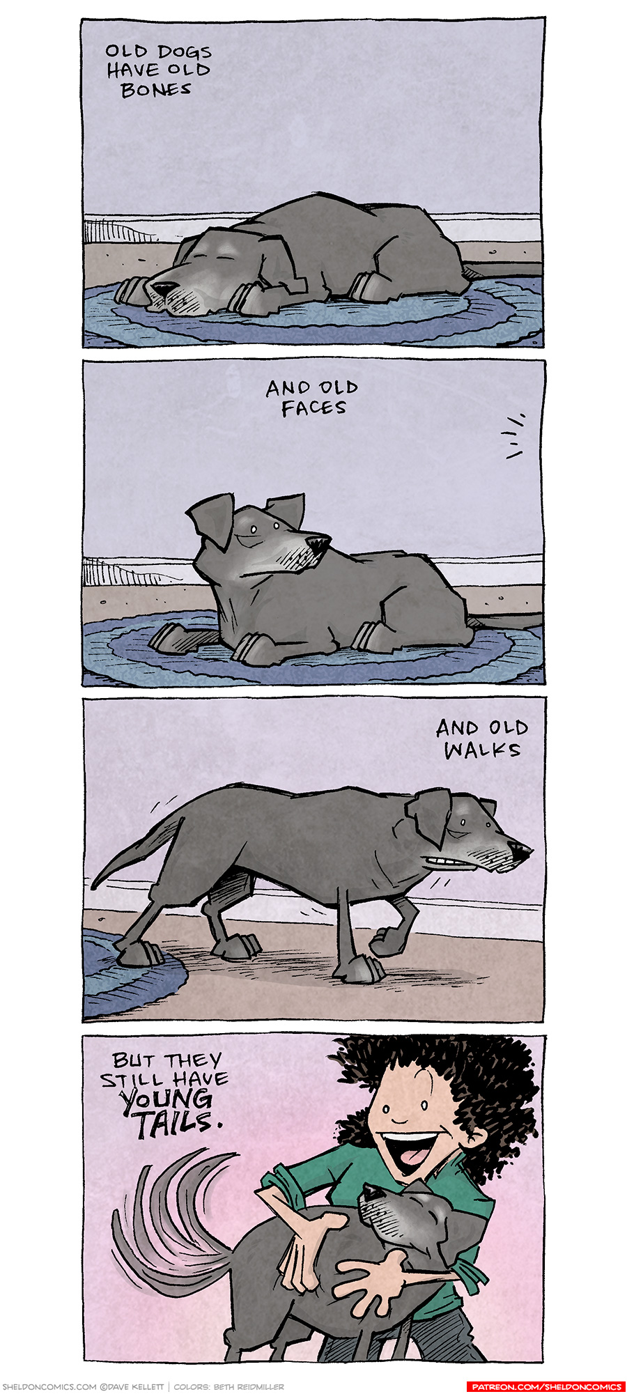 PANEL 1: A black labrador retriever with a grey muzzle and grey eyebrows lays on a blue rug, sleeping.
TEXT: Old dogs have old bones

PANEL 2: The dog look up in response to sound lines at the edge of the panel.
TEXT: And old faces

PANEL 3: The dog gets up from the carpet, walking with stiff wiggles.
TEXT: And old walks

PANEL 4: A woman with curly dark hair in a green shirt, with a big smile, hugs on the dog with both arms. The dog wags her tail and smiles sweetly.
TEXT: But they still have YOUNG TAILS.

——
Want 5,000 more comics like this? Join us at Patreon.com/sheldoncomics for the *FULL* Sheldon archives, art giveaways, fun community, and more! Sheldon Comics copyright Dave Kellett. Colors by Beth Reidmiller
