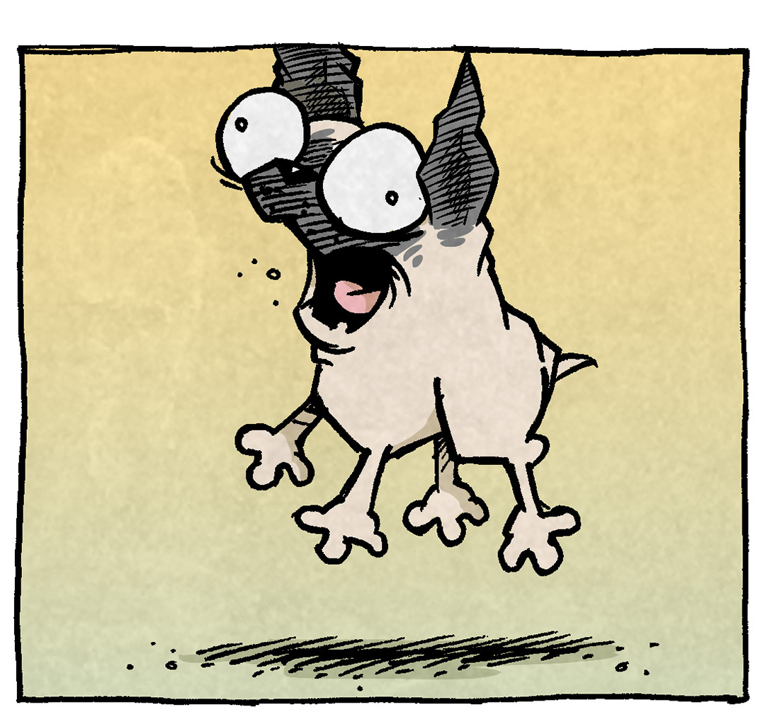 PANEL 1: OSO, a fawn pug, leaps in the air, eyes bugged out, mouth open in a bark. The background fades from a warm yellow to green. no text.

PANEL 2: OSO leaps the other direction, ears up, eyes bugged out, mouth open. The background fades from a green to teal. no text

PANEL 3: OSO leaps the other direction again. ears up, eyes bugged out, mouth open. The background fades from a blue to a cooler blue. no text

PANEL 4: OSO has landed face first on the ground, butt up. A Z rises from his head. The background fades from blue to purple.
TEXT: This is how the week ends: not with a bang, but with a whimper

———
Want 5,000 more comics like this? Join us at Patreon.com/sheldoncomics for the *FULL* Sheldon archives, art giveaways, fun community, and more! Sheldon Comics copyright Dave Kellett. Colors by Beth Reidmiller