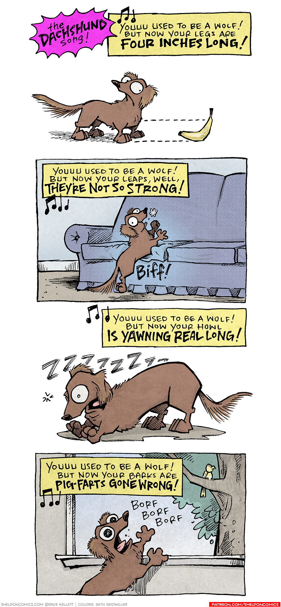 PANEL 1: 
Magenta burst: The DACHSHUND song!
Yellow narration box: [music notes] Youuu used to be awolf! But now your legs are FOUR INCHES LONG!
DIGBY, the brown dachshund, stands against a white background, side-eyeing a banana. Dashed lines go from the top and bottom of his legs to the height of the banana, to emphasize how small they are.

PANEL 2:
Yellow narration box: Youuu used to be a wolf! But now your leaps, well, THEY’RE NOT SO STRONG! [music notes]
DIGBY tries to jump on a blue sofa, but runs his chest in to the cushion. Sound effect: BIFF!

PANEL 3:
Yellow narration box: [music notes] Youuu used to be a wolf! But now your howl IS YAWNING REAL LONG!
Digby, against a white background, stretches his back, front legs stretched out (not very far, they are very short), but in the air. One eye open as he opens his mouth. Sound effect: ZZZZZZZ

PANEL 4: Yellow narration box: Youuu used to be a wolf! But now your barks are PIG-PARTS GONE WRONG!
Digby, with his front legs against the window, barks at a yellow bird sitting in a tree. Sound effect: Borf borf borf

——
Want 5,000 more comics like this? Join us at Patreon.com/sheldoncomics for the *FULL* Sheldon archives, art giveaways, fun community, and more! Sheldon Comics copyright Dave Kellett. Colors by Beth Reidmiller