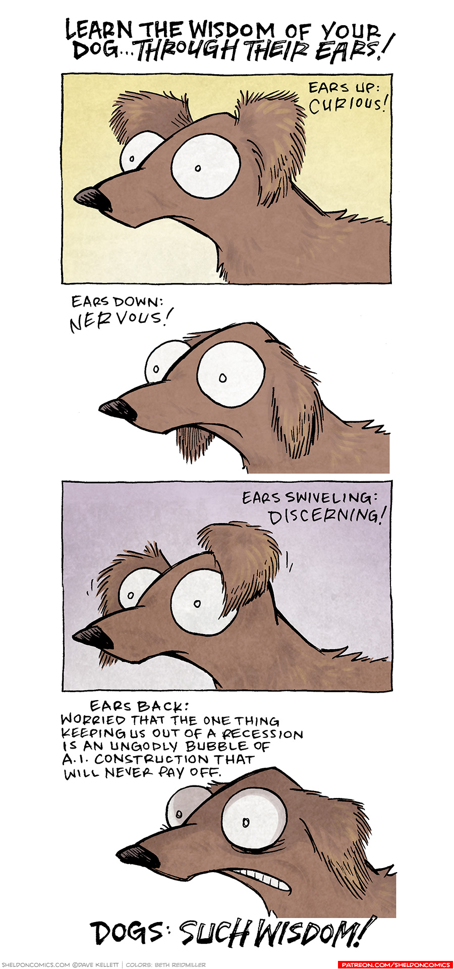 TITLE: Learn the wisdom of your dog…through their ears!
PANEL 1: DIGBY, the brown dachshund, looks with wide eyes, fluffy ears perked up.
TEXT: Ears up: CURIOUS!

PANEL 2: DIGBY looks concerned with his earns down.
TEXT: Ears down: NERVOUS!

PANEL 3: DIGBY’s ears are one up, one down, with wiggle lines.
TEXT: Ears swiveling: DISCERNING!

PANEL 4: DIGBY’s ears are back, mouth cringing.
TEXT: Ears back: Worried that the one thing keeping us out of a recession is an. ungodly bubble of A.I. construction that that will never pay off.

TITLE AT THE BOTTOM: DOGS: SUCH WISDOM!

——
Want 5,000 more comics like this? Join us at Patreon.com/sheldoncomics for the *FULL* Sheldon archives, art giveaways, fun community, and more! Sheldon Comics copyright Dave Kellett. Colors by Beth Reidmiller