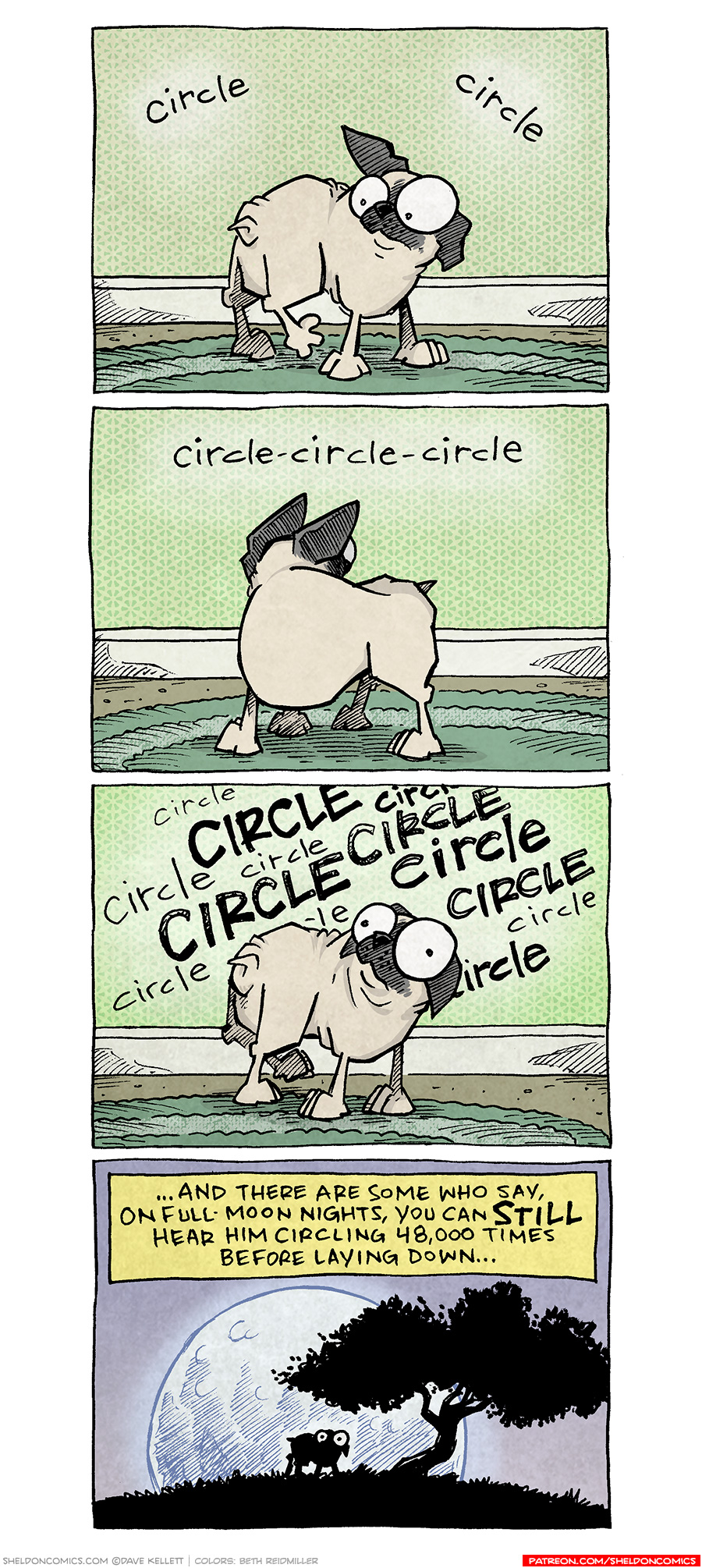PANEL 1: OSO, the fawn pug, turns in a circle on a green rug. Sound effect: circle, circle PANEL 2: OSO continues to turn in a circle, facing away from us. Sound effect: circle-circle-circle PANEL 3: OSO, eyes wide and ears back, keeps circling. Sound effect: circle CIRCLE circle circle Circle CIRCLE circle circle CIRCLE circle CIRCLE PANEL 4: A large moon filling the panel rises over a silhouette of a tree and a hill. A pug stands circling, eyes glowing. Narration: …and there are some who say, on full-moon nights, you can STILL hear him circling 48,000 times before laying down… —— Want 5,000 more comics like this? Join us at Patreon.com/sheldoncomics for the *FULL* Sheldon archives, art giveaways, fun community, and more! Sheldon Comics copyright Dave Kellett. Colors by Beth Reidmiller