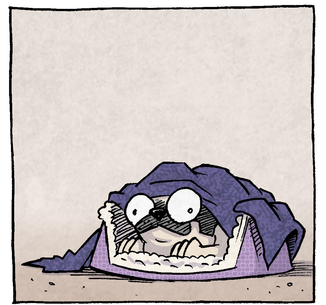 PANEL 1: OSO, a fawn pug, lays in his purple-checkered dog bed, with a dark purple blanket over him. His eyes are wide, as he stares at the viewer.
PANEL 2: OSO stays in the same position. The light in the background changes slightly.
PANEL 3: Light has streamed in from a window, a warm yellow. OSO has gotten out of his bed to lay belly-up in the sun. A “z” floats above his open, snoring mouth. The bed is to the right, blanket disgarded.
PANEL 4: OSO has returned to his bed, with blanket over him. Eyes wide, but smiling.
Text below panel: VARIETY IS KEY
——
Want 5,000 more comics like this? Join us at Patreon.com/sheldoncomics for the *FULL* Sheldon archives, art giveaways, fun community, and more! Sheldon Comics copyright Dave Kellett. Colors by Beth Reidmiller