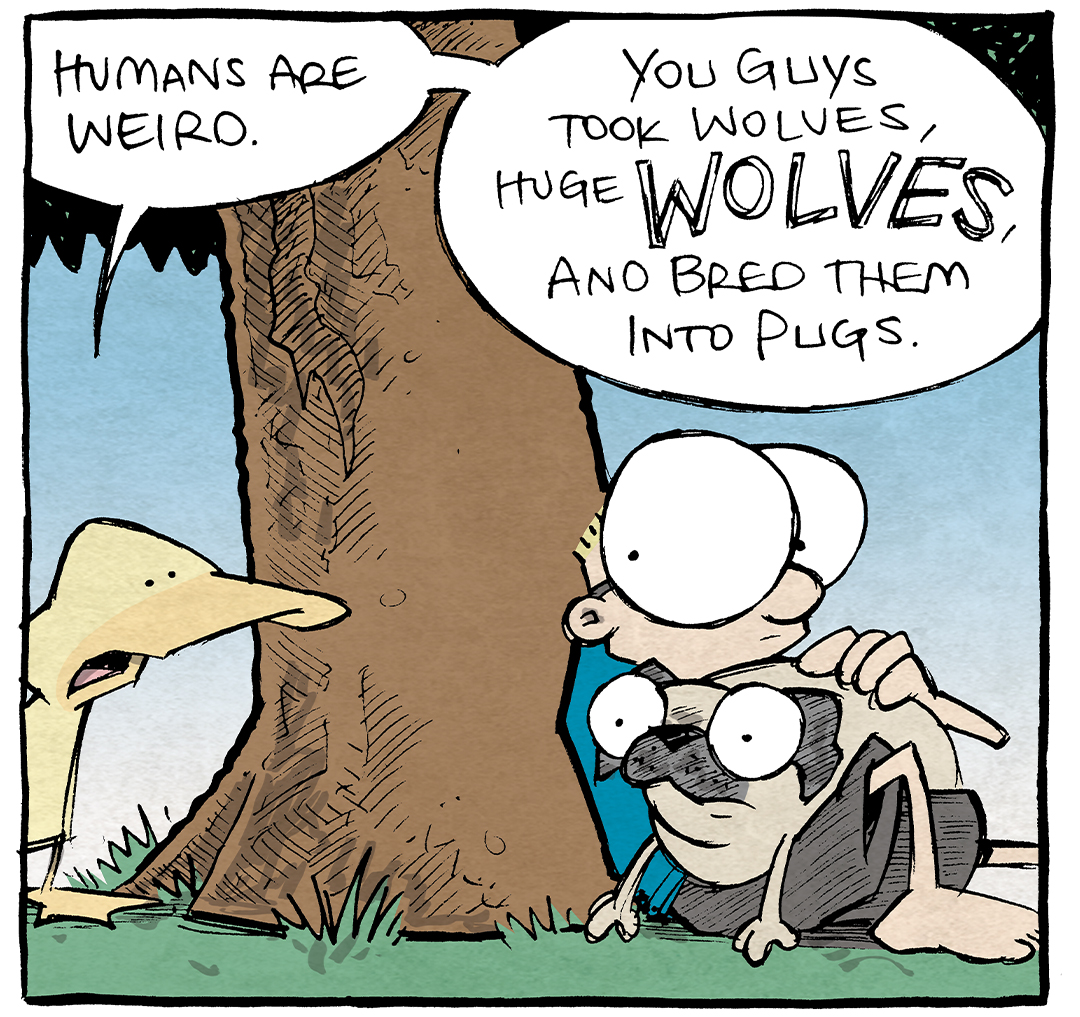 PANEL 1: SHELDON, a ten year old boy with large glasses, sits against a tree trunk holding OSO, a fawn pug, in his lap. ARTHUR, a yellow duck, stands to his left.
ARTHUR: Humans are weird. You guys took wolves, huge WOLVES, and bred them into pugs.
PANEL 2: Close up on ARTHUR as he continues.
ARTHUR: You took one of nature’s fiercest warriors! A cunning carnivore! And you bred it into…
PANEL 3: ARTHUR stands next to SHELDON still holding OSO, under the tree.
ARTHUR: A thing that farts when it barks.
SHELDON: — hey! Not ALWAYS.
——
Want 5,000 more comics like this? Join us at Patreon.com/sheldoncomics for the *FULL* Sheldon archives, art giveaways, fun community, and more! Sheldon Comics copyright Dave Kellett. Colors by Beth Reidmiller