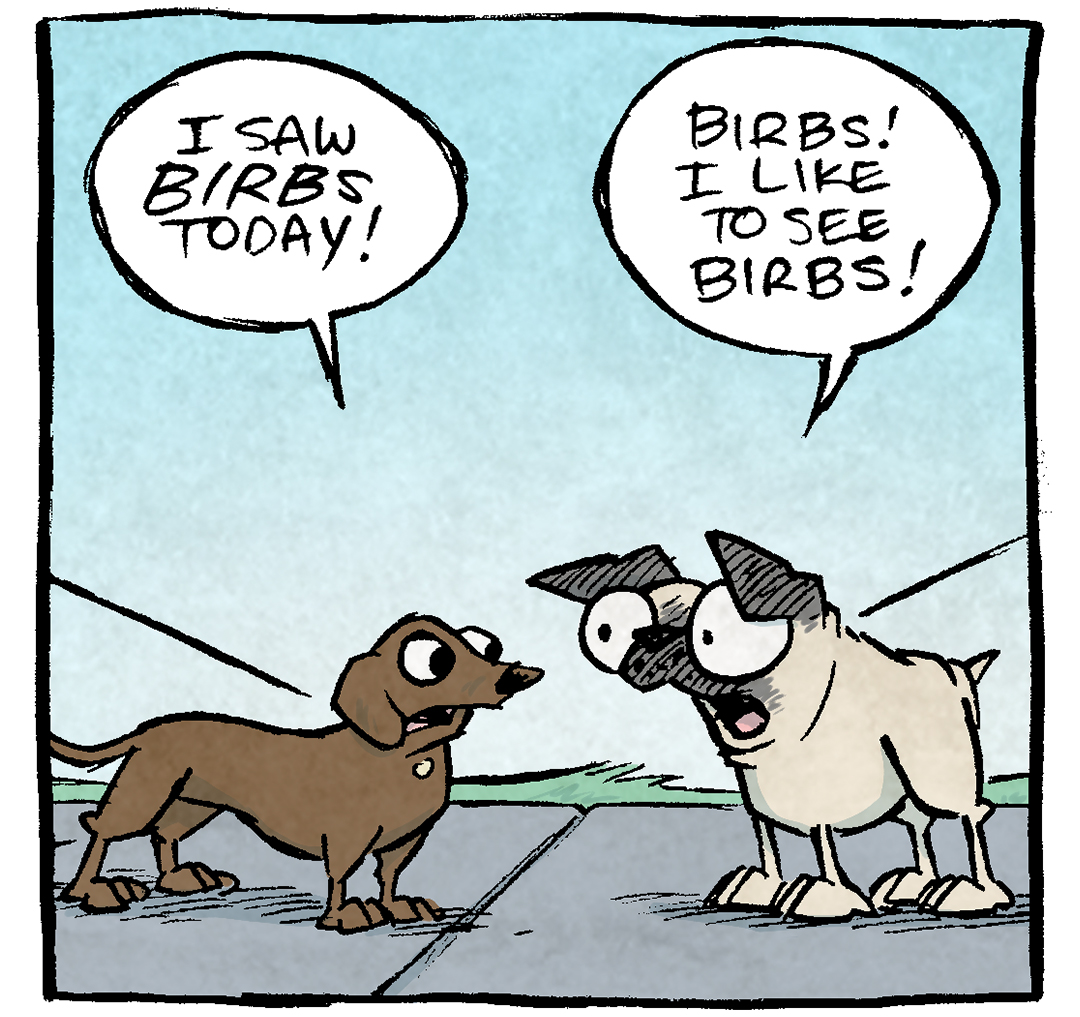 PANEL 1: DIGBY, a brown dachshund, stands next to OSO, a fawn pug. They are both on a leash, but their people are not in frame.
DIGBY: I saw BIRBS today!
OSO: BIRBS! I like to see birbs!
PANEL 2: The two continue talking.
DIGBY: I chased the birbs away! Using my biggest barks!
OSO: Yes! Barks for birbs!
PANEL 3: Closer in on the two, the background has gotten more intensely green.
DIGBY: So many barks for birbs! My birbest barks!
OSO: Birb barks, Yes!
PANEL 4: Very close up on the two, mouths wide open, going nuts at the thought of birds.
DIGBY: I… I am a good dog.
OSO: TELL ME AGAIN ABOUT THE BIRBS
———
Want 5,000 more comics like this? Join us at Patreon.com/sheldoncomics for the *FULL* Sheldon archives, art giveaways, fun community, and more! Sheldon Comics copyright Dave Kellett. Colors by Beth Reidmiller