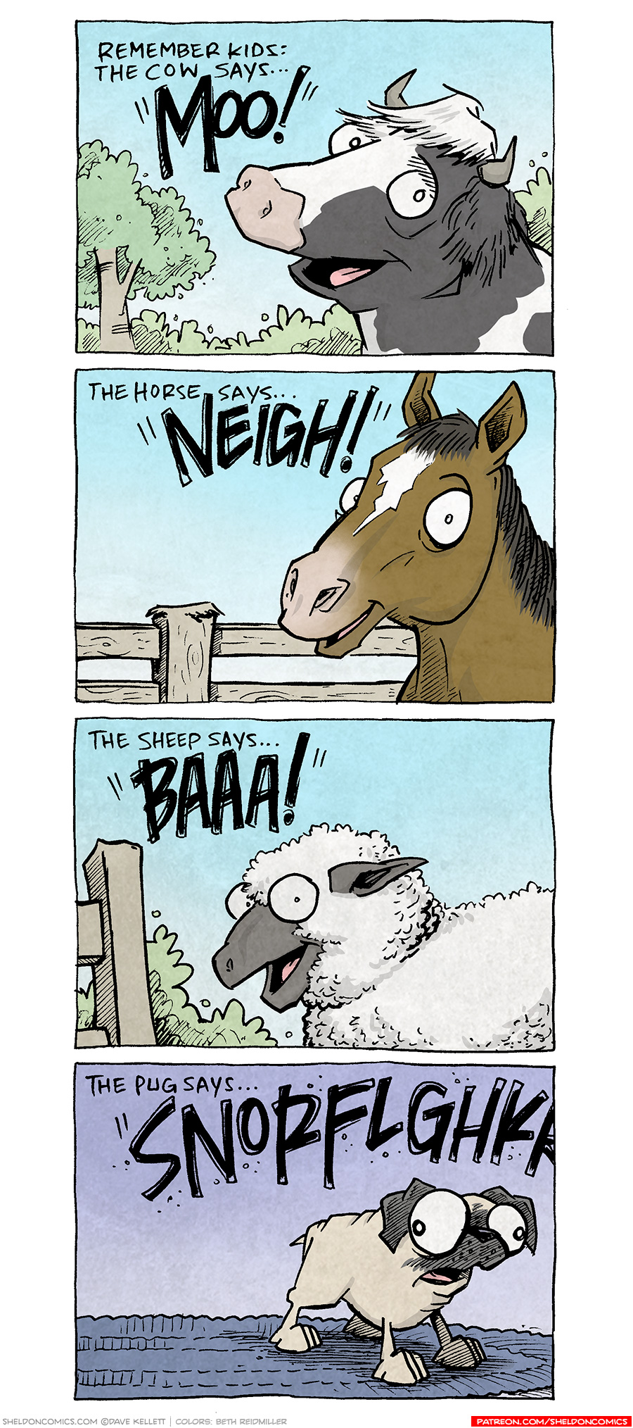 PANEL 1: A black and white cow looks happily at the viewer.
Text: Remember kids: The cow says… “MOO!”
PANEL 2: A brown horse with a black main looks happily at the viewer.
Text: The horse says… “NEIGH!”
PANEL 3: A white sheep with black nose and ears looks happily at the viewer.
Text: The sheep says… “BAAA!”
PANEL 4: A fawn pug, OSO stands on a blue rug, his eyes wide and pointing different directions.
Text: The pugs says… “SNORFLOGHKK”
——
Want 5,000 more comics like this? Join us at Patreon.com/sheldoncomics for the *FULL* Sheldon archives, art giveaways, fun community, and more! Sheldon Comics copyright Dave Kellett. Colors by Beth Reidmiller