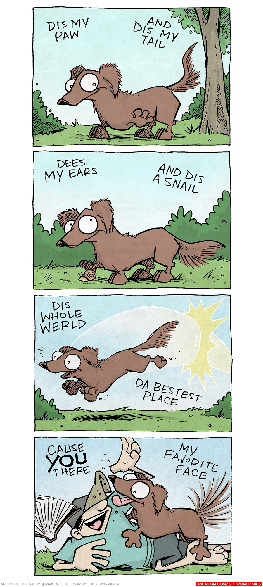 PANEL 1: DIGBY, a brown dachshund, stands on a plot of grass with a small tree and some bushes behind him. He holds up his left front paw, smiling down at it.
TEXT (floating in the sky): DIS MY PAW AND DIS MY TAIL
PANEL 2: DIGBY continues to stand on the grass, a snail under his right foot, he looks up at his slightly fluffy ears.
TEXT (floating in the sky): DEES MY EARS AND DIS A SNAIL
PANEL 3: DIGBY, flies through the air, with a transparent swoosh and yellow burst, his eyes wide in excitement and mouth open.
TEXT (floating in the sky): DIS WHOLE WERLD DA BESTEST PLACE
PANEL 4: DIGBY has tackled DANTE, a ten year old boy wearing a baseball cap low over his eyes. A book flies through the air, a casualty of the tackle. DIGBY’s tongue is out in a lick to DANTE’s face.
TEXT (floating in the sky): cause YOU there MY FAVORITE FACE
——
Want 5,000 more comics like this? Join us at Patreon.com/sheldoncomics for the *FULL* Sheldon archives, art giveaways, fun community, and more! Sheldon Comics copyright Dave Kellett. Colors by Beth Reidmiller