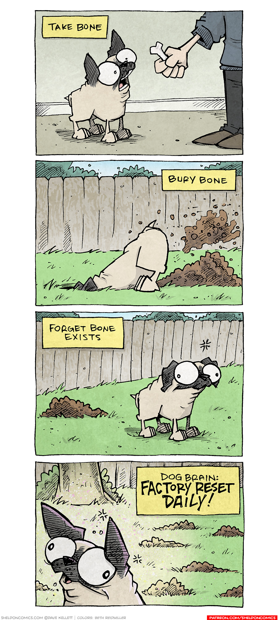PANEL 1: OSO, a fawn pug, stands inside with mouth wide open, as a person hands him a bone.
NARRATION: Take bone
PANEL 2: OSO, outside in a backyard surrounded by a fence with bushes peaking out the top, is head-first in a hole, dirt spraying out behind him as he digs. A pile of dirt gathers behind him.
NARRATION: Bury bone
PANEL 3: OSO stands next to a pile of dirt in the background with a brain-less smile on his face.
NARRATION: Forget bone exists.
PANEL 4: OSO, with a durpy wide-eyed smile, faces the camera. Sparkles and a glow surround him, as behind him is a yard full of dirt piles.
NARRATION: Dog Brain: FACTORY RESET DAILY!
———
Want 5,000 more comics like this? Join us at Patreon.com/sheldoncomics for the *FULL* Sheldon archives, art giveaways, fun community, and more! Sheldon Comics copyright Dave Kellett. Colors by Beth Reidmiller