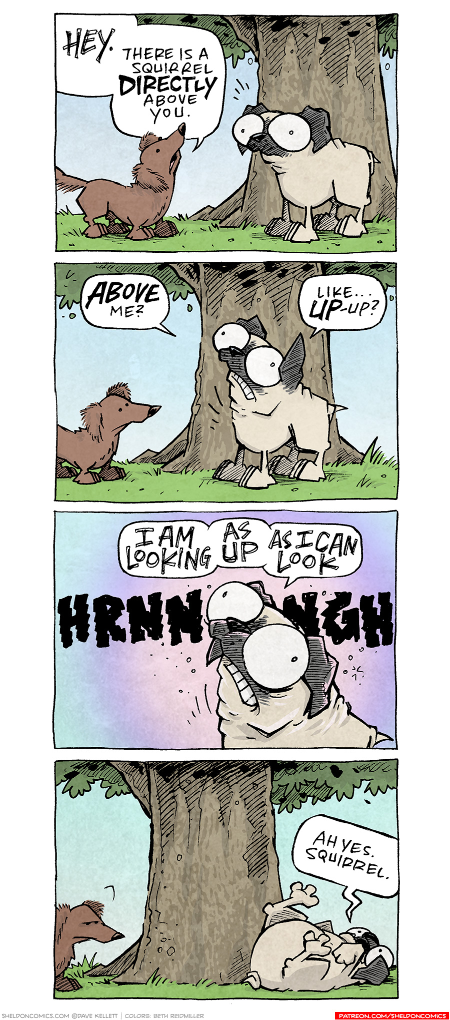 PANEL 1: DIGBY, a brown dachshund, looks up in a tree, where OSO, a fawn pug, stands in front of, oblivious.
DIGBY: Hey. There is a squirrel DIRECTLY above you.
PANEL 2: DIGBY looks at OSO as he tries to look up.
OSO: ABOVE me? Like…UP-up?
PANEL 3: OSO struggles to bend his head up.
OSO: I AM LOOKING…AS UP…AS I CAN LOOK
Background SFX: HRNNNNNNGH
PANEL 4: DIGBY looks unimpressed at OSO, who has fallen on his back, all 4 legs sticking up.
OSO: Ah yes. Squirrel.
——
Want 5,000 more comics like this? Join us at Patreon.com/sheldoncomics for the *FULL* Sheldon archives, art giveaways, fun community, and more! Sheldon Comics copyright Dave Kellett. Colors by Beth Reidmiller