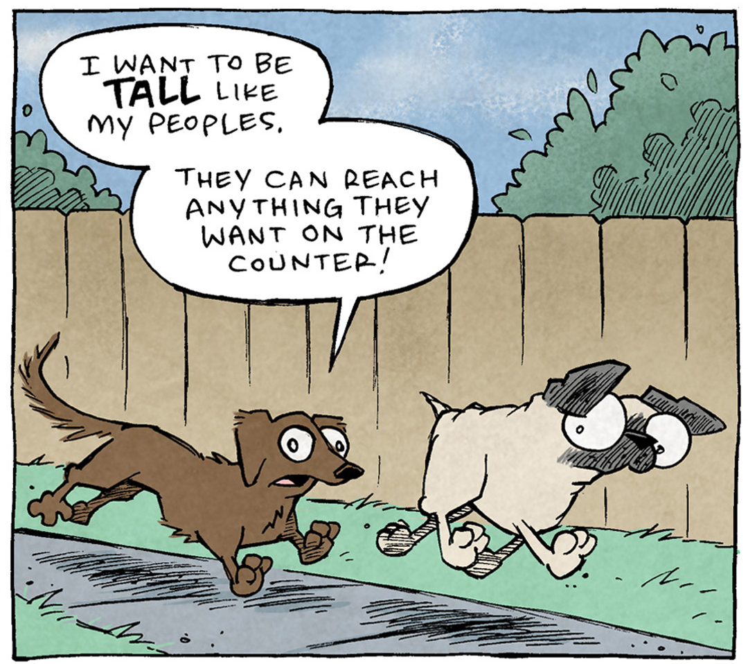 PANEL 1: Two dogs in a classic office cubical settings. A gold dog with ears the stick up wears a tie, carrying a potted plant. The other is a dark brown dog with floppy ears, sitting at a computer.
GOLD DOG: Hey it’s Jim’s birthday, so the whole office is going in on a gift.
BROWN DOG: Great! I’ll chip in.
PANEL 2: Gold dog keeps talking to brown dog in the same setting.
GOLD DOG: Can you sign your name real quick? He’ll be in any second.
BROWN DOG: Oh yeah yeah of course.
PANEL 3: Gold dog stands on his hind legs, looking at a clip board. BROWN DOG (wearing a red tie) lifts his back leg on to the potted plant the gold dog was carrying earlier. No text.
———
Want 5,000 more comics like this? Join us at Patreon.com/sheldoncomics for the *FULL* Sheldon archives, art giveaways, fun community, and more! Sheldon Comics copyright Dave Kellett. Colors by Beth Reidmiller