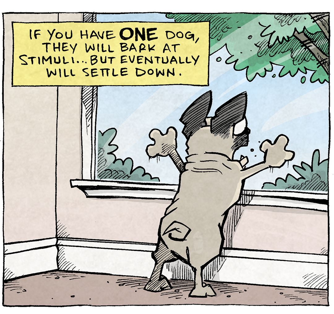 PANEL 1: OSO, a fawn pug, stands with his front paws on a window, barking. Outside is a tree, but we don’t see what he’s barking at.
NARRATION: If you have ONE dog, they will bark at stimuli…but eventually will settle down.
PANEL 2: OSO stands next to DIGBY, a brown dachshund. Both of them have their mouths open, eyes wide, barking.
NARRATION: But if you have TWO dogs, thebark of the first one becomes the stimuli for the second one. And thus, you get an INFINITE BARKING LOOP.
PANEL 3: GRAMP, an older bald man with a grey mustache, stands with his arms outs. Four different fans are scattered around him, clearly on.
NARRATION: PRO TIP: Hook those two up to a generator, and slash your home energy bills!
GRAMP: They’re powering NINE fans!
———
Want 5,000 more comics like this? Join us at Patreon.com/sheldoncomics for the *FULL* Sheldon archives, art giveaways, fun community, and more! Sheldon Comics copyright Dave Kellett. Colors by Beth Reidmiller