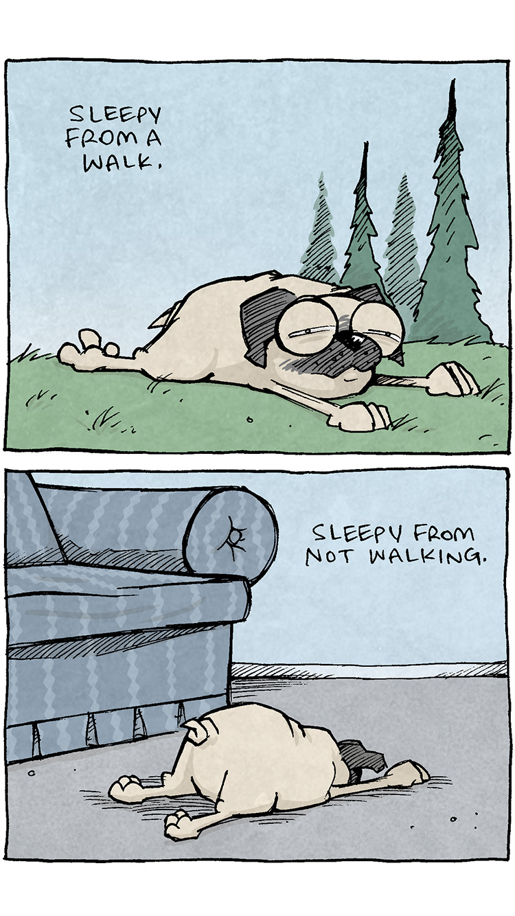 PANEL 1: OSO, a fawn pug, lays on green grass, eyes barely open.
TEXT: Sleepy from a walk.
PANEL 2: OSO lays on the ground in front of a sofa.
TEXT: Sleepy from not walking.
PANEL 3: OSO lays on grass by a bush, eyes barely open.
TEXT: Sleepy because they just slept for hours.
PANEL 4: OSO lies in a his purple dog bed.
TEXT: Sleepy because it’s been hours since they slept.
PANEL 5: OSO lays on his side, legs out, on a rug.
TEXT: Sleepy because they ate a massive meal.
PANEL 6: OSO lays on the floor, legs out.
TEXT: Sleepy because they ate a tiny snack.
PANEL 7: OSO dashes across the panel, eyes wide and dilated, a lamp being knocked as he flies by. The background is bright green to blue, the text is bright pink and yellow.
TEXT: FIVE-MINUTE WINDOW OF ZOOMIES
PANEL 8: Black text on white background: Dogs contain multitudes.
———
Want 5,000 more comics like this? Join us at Patreon.com/sheldoncomics for the *FULL* Sheldon archives, art giveaways, fun community, and more! Sheldon Comics copyright Dave Kellett. Colors by Beth Reidmiller