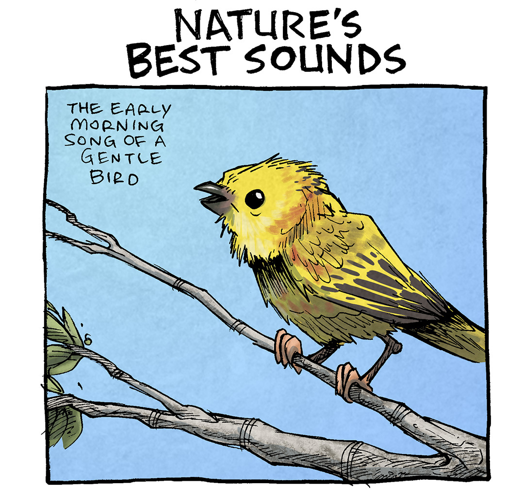 TITLE: Nature’s Best Sounds
PANEL 1: A yellow bird sits on a branch in front of a blue sky.
NARRATION: The early morning song of a gentle bird.
PANEL 2: A creek bounces over rocks, surrounded by bushes and trees on a sunny blue sky.
NARRATION: A sweet, babbling brook in spring.
PANEL 3: A fawn pug with dilated eyes sits against a blue wall.
NARRATION: Any dog eaten’ a carrot.
Pug SFX: CRANCH CRANCH CRANCH
———
Want 5,000 more comics like this? Join us at Patreon.com/sheldoncomics for the *FULL* Sheldon archives, art giveaways, fun community, and more! Sheldon Comics copyright Dave Kellett. Colors by Beth Reidmiller