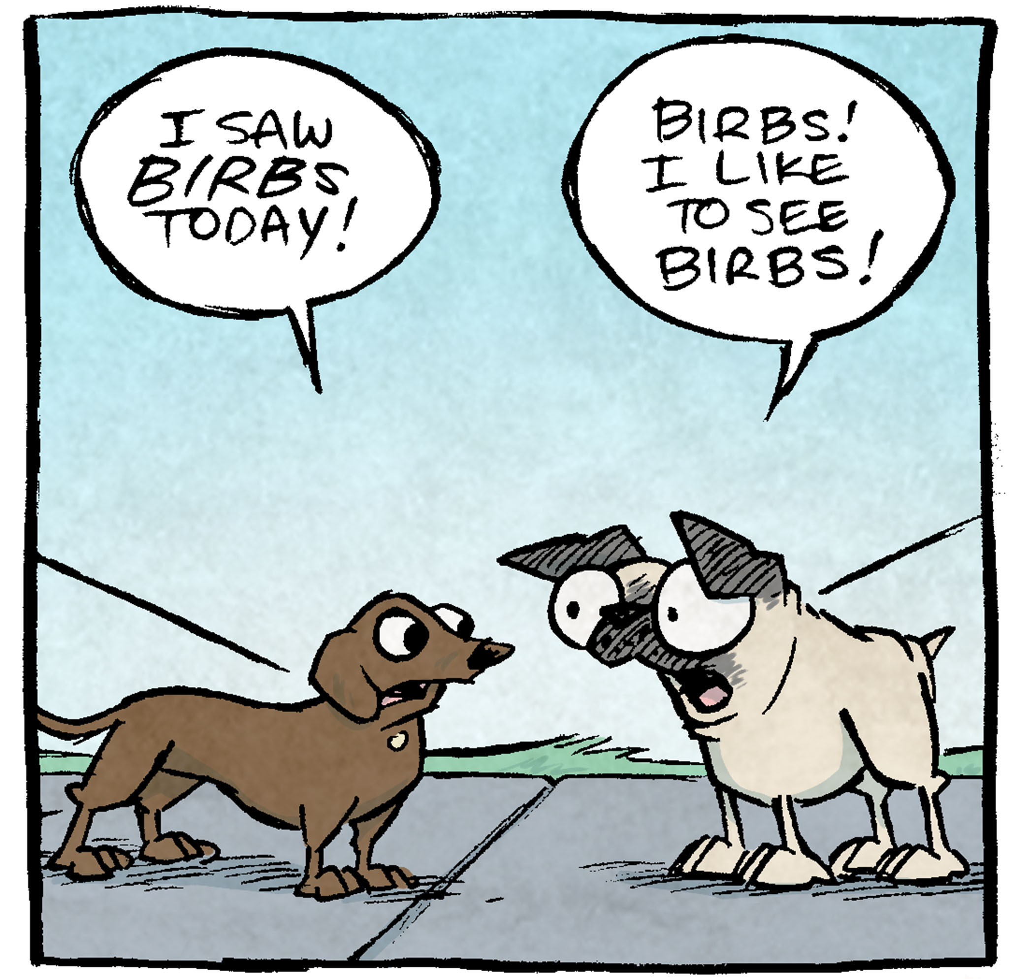 PANEL 1: DIGBY, a brown dachshund, stands facing OSO, a fawn pug. They’re both on leash.
DIGBY: I saw birbs today!
OSO: Birbs! I like to see birbs!
PANEL 2: DIGBY continues to talk to OSO, the background color gets a little more intense.
DIGBY: I chased the birbs away! Using my biggest barks!
OSO: Yes! Barks for birbs!
PANEL 3: Closer in on the dogs talking, DIGBY’s eyes have dilated, the background is even more intense.
DIGBY: So many barks for birbs! My birbest barks!
OSO: Birb barks, yes!
PANEL 4: Very close on DIGBY and OSO, their eyes wide, the background is an acidic green.
DIGBY: I… …I am a good dog
OSO: TELL ME AGAIN ABOUT THE BIRBS
——
Want 5,000 more comics like this? Join us at Patreon.com/sheldoncomics for the *FULL* Sheldon archives, art giveaways, fun community, and more! Sheldon Comics copyright Dave Kellett. Colors by Beth Reidmiller