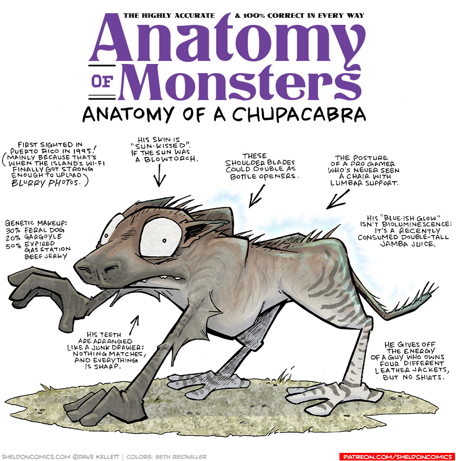 TITLE Anatomy of Monsters: Anatomy of a Chupacabra
Description: A four-legged creature with brown skin the fades to light back legs with dark stripes. His bat-like face has bulging eyes, small teeth protruding from his cringing mouth, and pointing ears hald back on his head. His shoulder blades and hip bones poke out, spikes along his back and tail stick out. He holds one hand up and stands on a sandy, pebble ground.
Jokes:
- First sighted in Puerto Rico in 1995! (Mainly because that’s when the island’s wi-fi finally got strong enough to upload blurry photos.)
- Genetic makeup: 30% Feral Dog, 20% Gargoyle, 50% expired gas station beef jerky
- His teeth are arranged like a junk drawer: nothing matches, and everything is sharp.
- His skin is “sun kissed”. If the sun was a blowtorch.
- These shoulder blades could double as bottle openers.
- The posture of a pro-gamer who’s never seen a chair with lumbar support.
- His “blue-sih glow” isn’t bioluminescence: it’s a recently consumed double-tall Jamba Juice.
- He gives off the energy of a guy who owns four different leather jackets, but no shirts.
———
Want 5,000 more comics like this? Join us at Patreon.com/sheldoncomics for the *FULL* Sheldon archives, art giveaways, fun community, and more! Sheldon Comics copyright Dave Kellett. Colors by Beth Reidmiller