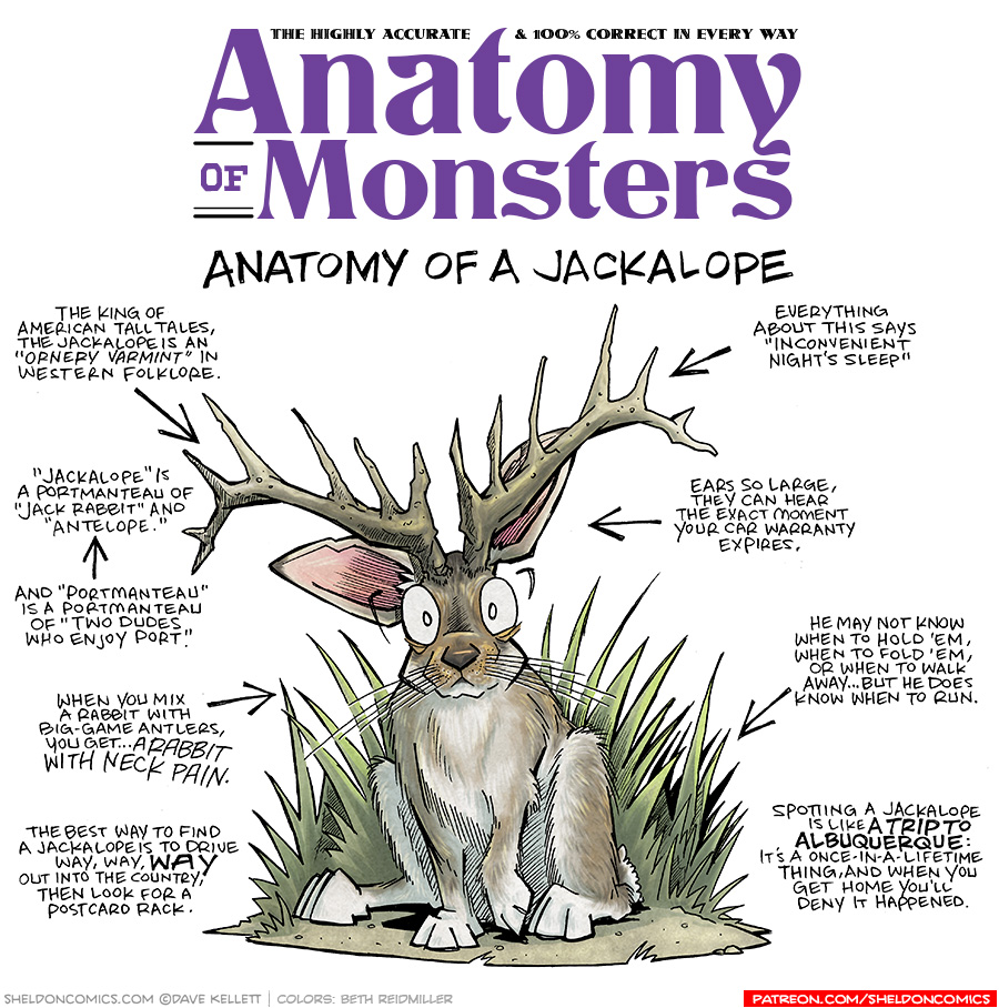 TITLE: Anatomy of Monsters: Anatomy of a Jackalope
DESCRIPTION: A brown-grey jack rabbit with white legs and belly, large pink ears, brown nose and bulging eyes…but he has giant antlers protruding from his head. He sits in front of some grass on top of a sandy ground.
JOKES:
- The king of American tall tales, the Jackalope is an “Ornery Varmint” in Western folklore.
- “Jackalope” is a portmanteau of “Jack Rabbit” and “Antelope.”
- And “Portmanteau” is a portmanteau of “Two Dudes who Enjoy Port.”
- When you mix a rabbit with big-game antlers, you get…a rabbit with neck pain.
- The best way to find a jackalope is to drive way, way, WAY out into the country, then look for a postcard rack.
- Everything about this says “Inconvenient night’s sleep”
- Ears so large, they can hear the exact moment your car warranty expires.
- He may not know how to hold ‘em, when to fold ‘em, or when to walk away…but he does know when to run.
- Spotting a jackalope is like A TRIP TO ALBUQUERQUE: it’s a once-in-a-lifetime thing, and when you get home you’ll deny it happened.
——
Want 5,000 more comics like this? Join us at Patreon.com/sheldoncomics for the *FULL* Sheldon archives, art giveaways, fun community, and more! Sheldon Comics copyright Dave Kellett. Colors by Beth Reidmiller