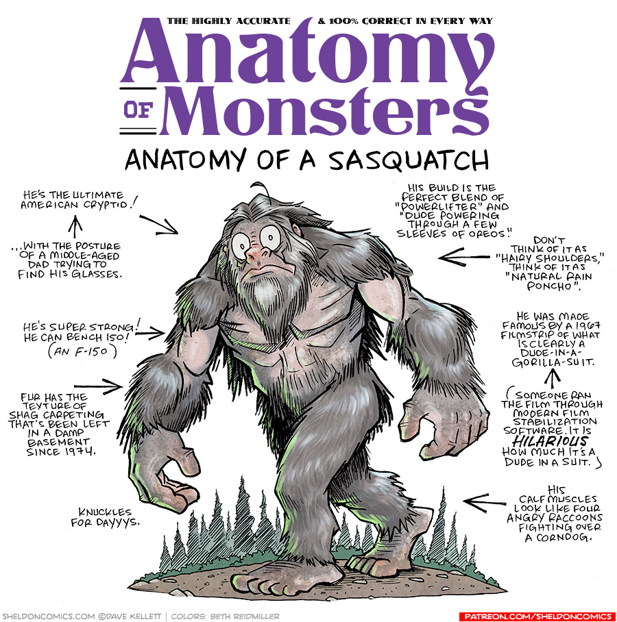 TITLE: Anatomy of Monsters: Anatomy of a Sasquatch
DESCRIPTION: An ape-like man stands in the classic Big-Foot stance, mid-walk. His arms and legs and shoulders are covered in fur, his hands, feet, biceps and chest are flesh. Behind him is a forest of trees.
JOKES:
- He’s the ultimate American cryptid!
- (pointing to the previous joke) …with the posture of a middle-aged dad trying to find his glasses.
- He’s super strong! He can bench 150! (An F-150)
- Fur has the texture of shag carpeting that’s been left in a damp basement since 1974.
- Knuckles for DAYYYYYS.
- His build is the perfect blend of “powerlifter” and “dude powering through a few sleeves of oreos.”
- Don’t think of it as “Hairy Shoulders,” think of it as “Natural Rain Poncho”
- He was made. famous by a 1967 filmstrip of what is clearly a dude-in-a-Gorilla-Suit.
- (pointing to previous joke) (Someone ran the film through modern film stabilization software. It is HILARIOUS how much its a dude in a suit.)
- His calf muscles look like four angry raccoons fighting over a corndog.
Want 5,000 more comics like this? Join us at Patreon.com/sheldoncomics for the *FULL* Sheldon archives, art giveaways, fun community, and more! Sheldon Comics copyright Dave Kellett. Colors by Beth Reidmiller