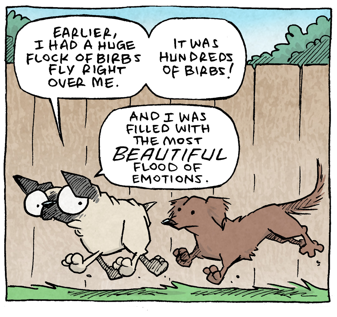 PANEL 1: OSO, the fawn pug, and DIGBY, the brown dachshund, run along a fenced green.
OSO: Earlier, I had a huge flock of birbs fly right over me. I was hundreds of birbs! And I was filled with the most BEAUTIFUL flood of emotions.
PANEL 2: DIGBY trots on his own along the green grass.
DIGBY: —OOOoh! What was it like?
PANEL 3: OSO, enraged, raises off the ground in his rage. The background is pink fading to blue. DIGBY stands next to him, unphased.
OSO: BARK BARK BARK BARK BARK BARK BARK BARK BARK BARK BARK BARK BARK BARK BARK
DIGBY: Been THERE.
——
Want 5,000 more comics like this? Join us at Patreon.com/sheldoncomics for the *FULL* Sheldon archives, art giveaways, fun community, and more! Sheldon Comics copyright Dave Kellett. Colors by Beth Reidmiller