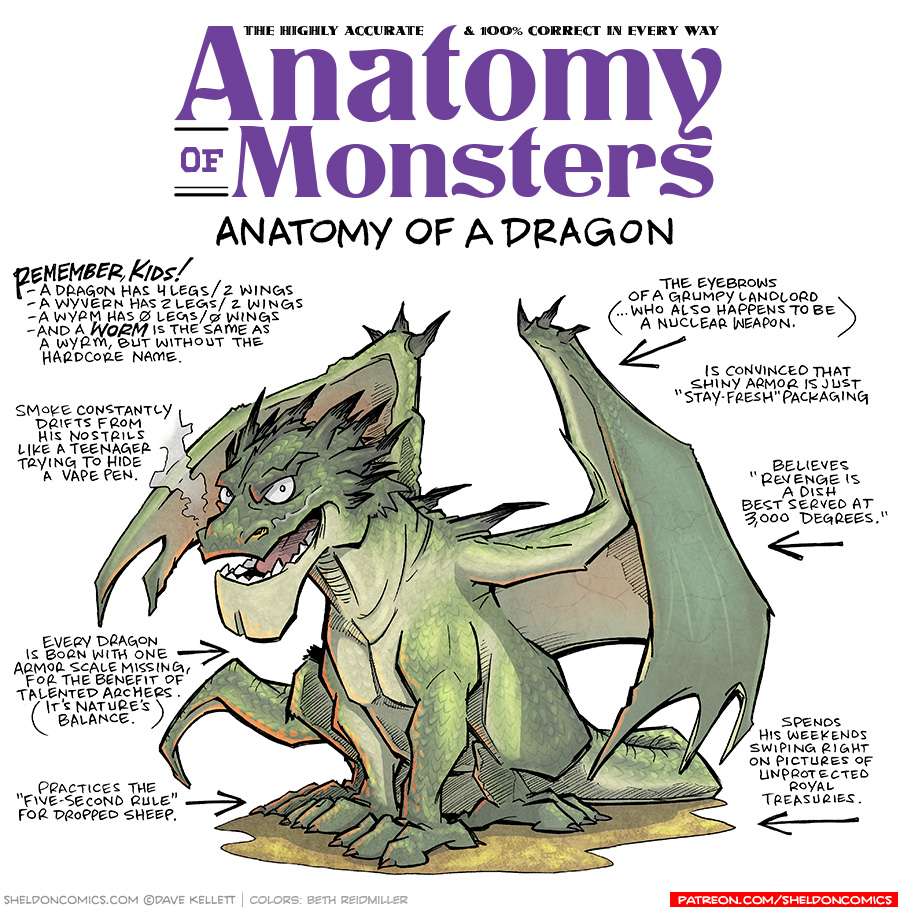 TITLE: Anatomy of Monsters; Anatomy of a Dragon
DESCRIPTION: A green, scaly, four-legged creature with giant bat-like wings sits on a glistening gold dirt. His head is covered in dark spines, heavy eyebrows cover his eyes. He has a heavy chin and smoke protrudes from one of his nostrils.
JOKES:
- Remember, Kids! - A dragon has 4 legs/2 wings. - A wyvern has 2 legs/2 wings.
- a Wyrm has 0 legs/0 wings. - And a WORM is the same as a wyrm, but without the hardcore name.
- Smoke constantly drifts from his nostrils like a teenager try8ing to hide a vape pen.
- Every dragon is born with one armor scale missing, for the benefit of talented archers. (It’s nature’s balance.)
- Practices the “Five-second Rule” for dropped sheep.
- The eyebrows of a grumpy landlord (…who also happens to be a nuclear weapon.)
- Is convinced that shiny armor is just “Stay-fresh” Packaging.
- Believes “revenge i a dish best served at 3,000 degrees.”
- Spends his weekends swiping right on pictures of unprotected royal treasuries.
——
Want 5,000 more comics like this? Join us at Patreon.com/sheldoncomics for the *FULL* Sheldon archives, art giveaways, fun community, and more! Sheldon Comics copyright Dave Kellett. Colors by Beth Reidmiller