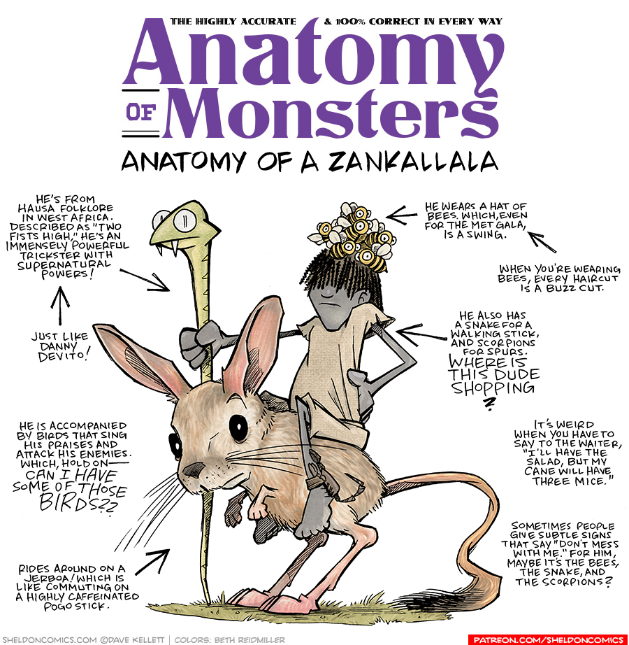 TITLE: Anatomy of Monsters: Anatomy of a Zankallala
DESCRIPTION: A small grey-skinned man with dreadlocks covering his eyes, sits on top of a mouse-like jerboa. The Jerboa has large ears, large back legs it stands on, small font legs, and a long tail with a tuft at the end. Zankallala has a mound of bees on his head, and holds a green snake like a walking stick. He has a dark scorpion on his ankle.
JOKES:
- He’s from Hausa folklore in West Africa. Described as “two fists hight”, he’s an immensely powerful trickster with supernatural powers!
- (pointing to the previous joke) Just like Danny Devito!
- He is accompanied by birds that sing his praises and attack his enemies. Which, hold on — CAN I HAVE SOME OF THOSE BIRDS??
- Rides around on a Jerboa! Which is like commuting on a highly caffeinated pogo stick.
- He hears a hat of bees. Which, even for the Met Gala, is a swing.
- (pointing to the previous joke) When you’re wearing bees, every haircut is a buzz cut.
- He also has a snake for a walking stick, and scorpions for spurs. WHERE IS THIS DUDE SHOPPING?
- It’s weird when you have to say to the waiter, “I’ll have the salad, but my cane will have three mice.”
- Sometimes people give subtle signs that say “Don’t mess with me.” For him, maybe it’s the bees, the snake and the scorpions?
——
Want 5,000 more comics like this? Join us at Patreon.com/sheldoncomics for the *FULL* Sheldon archives, art giveaways, fun community, and more! Sheldon Comics copyright Dave Kellett. Colors by Beth Reidmiller