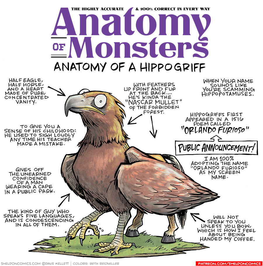 TITLE: Anatomy of Monsters: Anatomy of a Hippogriff
DESCRIPTION: A golden eagle with a grey beak and yellow eagle legs stands on a green patch. The back half of him is a golden horse with a white tail.
JOKES:
- Half eagle, half horse, and a heart made of pure, concentrated vanity.
- To give you a sense of his childhood: he used to sigh loudly any time his teacher made a mistake.
- Gives off the unearned confidence of a man wearing a cape in a public park.
- The kin dof guy who speaks five languages, and is condescending in all of them.
- With feathers up front and fur at the back…. he’s kinda the “Nascar Mullet” of the forbidden forest.
- When your name sounds like you’re scamming Hippopotamuses.
- Hippogriffs first appeared in a 1516 poem called “ORLANDO FURIOSO”
- (Big box surrounding words with an arrow pointing up to previous joke) PUBLIC ANNOUNCEMENT!
- (Under public announcement) I am 100% adopting the name “Orlando Furioso” as my screen name.
- Will not speak to you unless you bow, which is how I feel about being handed my coffee.
——
Want 5,000 more comics like this? Join us at Patreon.com/sheldoncomics for the *FULL* Sheldon archives, art giveaways, fun community, and more! Sheldon Comics copyright Dave Kellett. Colors by Beth Reidmiller