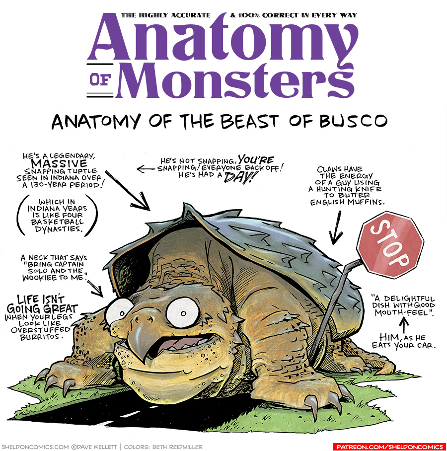 TITLE: Anatomy of Monsters: Anatomy of the Beast of Busco
DESCRIPTION: He’s a really, really big snapping turtle. His body is yellow-orange with spines all over. He has a beak and claws. His shell is green and spiney. He sits spanning a two-lane road, a bent stop sign under his armpit.
JOKES:
- He’s a legendary, MASSIVE snapping turtle seen in Indiana over a 130-year period!
- (Which in Indiana years is like four basketball dynasties.)
- A neck that says “Bring Captain Solo and the Wookiee to me.”
- LIFE ISN’T GOING GREAT when your legs look like overstuffed burritos.
- He’s not snapping, YOU’RE snapping! Everyone back off! He’s had a DAY!
- Claws have the energy of a guy using a hunting knife to butter English muffins.
- “A delightful dish with good mouth-feel.”
- (pointing to previous joke) Him, as he eats your car.
——
Want 5,000 more comics like this? Join us at Patreon.com/sheldoncomics for the *FULL* Sheldon archives, art giveaways, fun community, and more! Sheldon Comics copyright Dave Kellett. Colors by Beth Reidmiller