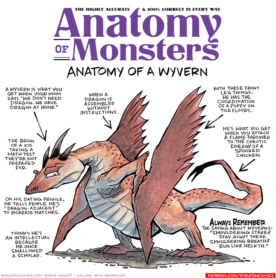 TITLE: Anatomy of Monsters: Anatomy of a Wyvern
DESCRIPTION: A red two-legged, two-winged dragon stands on a rocky ground. He has three horns on his head, a heavy scowling brow, and a soft-looking belly.
JOKES:
- A wyvern is what you get when your mom says “We don’t need dragon. We have dragon at home.”
- The brow of a kid taking a math test they’re not prepared for.
- On his dating profile, he tells people he’s “Dragon-Adjacent” to increase matches.
- Thinks he’s an intellectual because he once swallowed a scholar.
- When a dragon is assembled without instructions.
- With these front leg things, he has the coordination of a puppy on tile floors.
- He’s what you get when you attach a flame-thrower to the chaotic energy of a spooked chicken.
- ALWAYS REMEMBER the saying about wyverns: “Wmouldering stare? Stay right there. Smouldering breath? Run like heckth.”
——
Want 5,000 more comics like this? Join us at Patreon.com/sheldoncomics for the *FULL* Sheldon archives, art giveaways, fun community, and more! Sheldon Comics copyright Dave Kellett. Colors by Beth Reidmiller