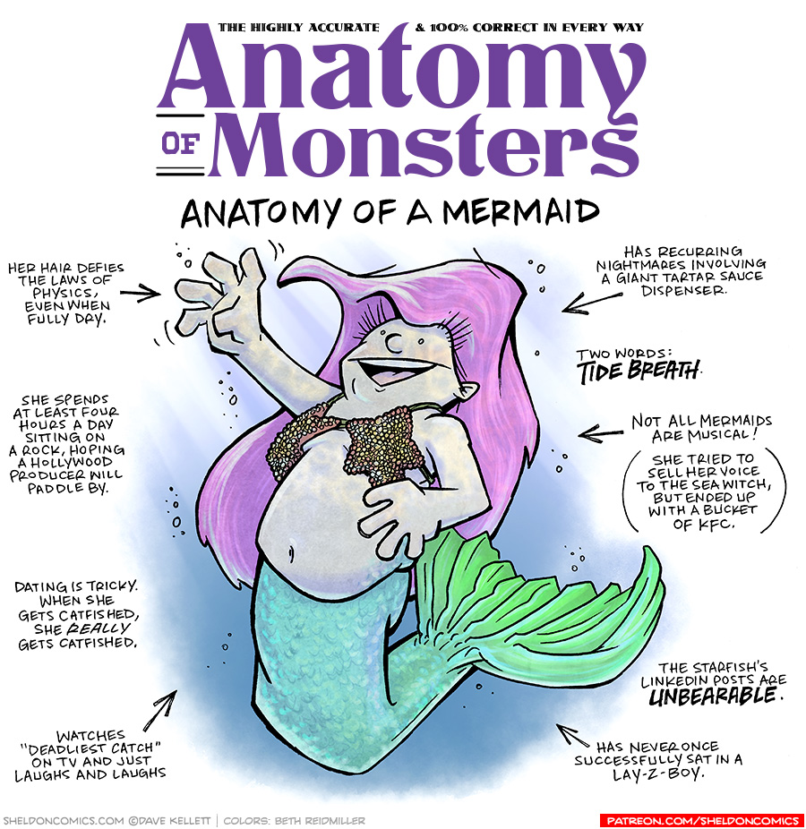 TITLE: Anatomy of Monsters: Anatomy of a Mermaid
DESCRIPTION: A curvy mermaid with bright purple hair and a teal-to-green fish tail floats in some water. She has orange starfish for a bra, and smiles wide and she reaches up to the water’s surface.
JOKES:
- Her hair defies the laws of physics, even when fully dry.
- She spends at least four hours a day sitting on a rock, hoping a Hollywood producer will paddle by.
- Dating is tricky. When she gets catfished, she REALLY gets catfished.
- Watches “Deadliest Catch” on TV and just laughs and laughs.
- Has recurring nightmares involving a giant tartar sauce dispenser.
- Two words: TIDE BREATH
- Not all mermaids are musical! (She tried to sell her voice to the sea witch, but ended up with a bucket of KFC.)
- The starfish’s linkedin posts are UNBEARABLE.
- Has never once successfully sat in a Lay-Z-Boy.
——
Want 5,000 more comics like this? Join us at Patreon.com/sheldoncomics for the *FULL* Sheldon archives, art giveaways, fun community, and more! Sheldon Comics copyright Dave Kellett. Colors by Beth Reidmiller