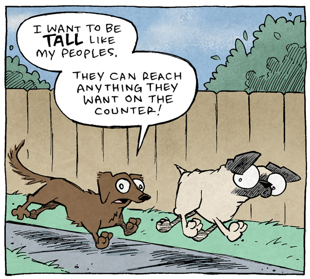 PANEL 1: A brown dachshund, DIGBY, runs alongside a fawn pug, OSO. They run along a sidewalk with green grass, a brown fence, and a blue sky.
DIGBY: I want to be TALL like my peoples. They can reach anything they want on the counter!
PANEL 2: The two dogs continue to run down the street.
DIGBY: They SEE a cheese on the counter, they EAT a cheese! IMAGINE IT! IMAGINE BEING THAT TALL!
PANEL 3: A parody of the cover of the book “Oh the places you’ll go” by Dr. Suess, we see DIGBY leaping over the multi-colored striped tube shapes, surrounded by pieces of Swiss-like cheese. DIGBY looks super happy. The font of the title matches the original book font: “Oh, the Cheeses I’d Eat!”
———
Want 5,000 more comics like this? Join us at Patreon.com/sheldoncomics for the *FULL* Sheldon archives, art giveaways, fun community, and more! Sheldon Comics copyright Dave Kellett. Colors by Beth Reidmiller