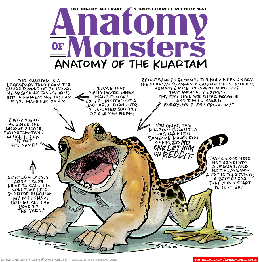 TITLE: Anatomy of Monsters: Anatomy of the Kuartam
DESCRIPTION: A hybrid frog-jaguar creature stands in a puddle. His front legs are large, muscular, and claw’d. His giant frog-face has it’s mouth wide open. Jaguar-spots extend down its’ back and jaguar-tail. Its’ back legs are green frog legs.
JOKES:
- The Kuartam is a legendary toad from the Shuar people of Ecuador. He magically transporms into a man-eating jaguar if you make fun of him.
- (pointing to previous joke) I have that same power when made fun of! Except instead of a jaguar, I turn into a deflated soufflé of a human being.
- Every night, he sings the unique phrase “Kuartam-tan”, which is how he got his name!
- (Pointing to previous joke) Although loclas aren’t sure what to call him now that he’s started singing “My milkshake brings all the boys to the yard.”
- Bruce Banner becomes The Hulk when angry. The Kuartam becomes a jaguar when insulted. Humans LOVE to invent monsters that basically express “My feelings are super fragile and I will make it everyone else’s problem!”
- You guys, the kuartam becomes a jaguar when someone makes fun of him, SO NO ONE LET HIM ON REDDIT.
- Thank goodness he turns into a jaguar, and not a Jaguar. A cat is terrifying; a British car that won’t start is just sad.
——
Want 5,000 more comics like this? Join us at Patreon.com/sheldoncomics for the *FULL* Sheldon archives, art giveaways, fun community, and more! Sheldon Comics copyright Dave Kellett. Colors by Beth Reidmiller