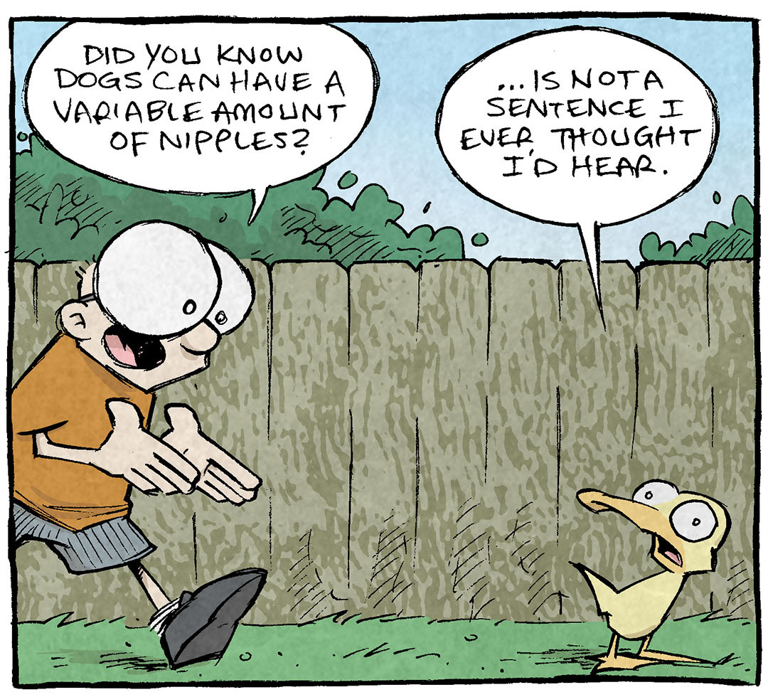 PANEL 1: SHELDON, a ten-year old boy with large glasses, walks towards ARTHUR, a yellow duck. SHELDON is excited about his fun fact, ARTHUR is a little horrified. The background is a brown fence with green bushes behind it, and a sunny blue sky above.
SHELDON: Did you now dogs can have a variable amount of nipples?
ARTHUR: …is not a sentence I ever thought I’d hear.
PANEL 2: SHELDON continues talking while ARTHUR looks over at OSO, a fawn pug, who looks empty-brained but excited to be included.
SHELDON: Dogs can have six nipples, or either nipples, or ten nipples! Just crazy amounts of nipples!
ARTHUR: Stop saying hipples so much. But also! Oso: how many nipples ya got, buddy?
PANEL 3: SHELDON kneels down to OSO who is now on his back. ARTHUR responds over excitedly.
SHELDON: 8…9…10. 10 nipples!
ARTHUR: Yeah!! Chase them dreams, pal! Chase them dreams!
———
Want 5,000 more comics like this? Join us at Patreon.com/sheldoncomics for the *FULL* Sheldon archives, art giveaways, fun community, and more! Sheldon Comics copyright Dave Kellett. Colors by Beth Reidmiller