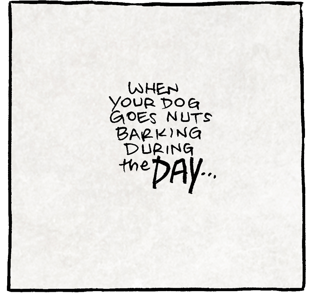 PANEL 1: Black text on a white paper background: When your dog goes nuts barking during the DAY…
PANEL 2: GRAMP, an older bald man with a grey mustache, walks through his house holding a coffee cup. OSO, the fawn pug, stands next to him barking.
OSO: BAR BAR BARK BARK BARK
GRAMP: Jeez, what’s wrong with you? Calm down, captain nervous.
PANEL 3: Black text on a white paper background: When they do it at NIGHT…
PANEL 4: OSO stands in the foreground, mouth wide open barking. Behind the couch, in the dark, GRAMP peaks up with fingers on the edge of the couch.
OSO: BARK BARK BARK BARK BARK BARK
GRAMP: wh…what horrors approach?
———
Want 5,000 more comics like this? Join us at Patreon.com/sheldoncomics for the *FULL* Sheldon archives, art giveaways, fun community, and more! Sheldon Comics copyright Dave Kellett. Colors by Beth Reidmiller