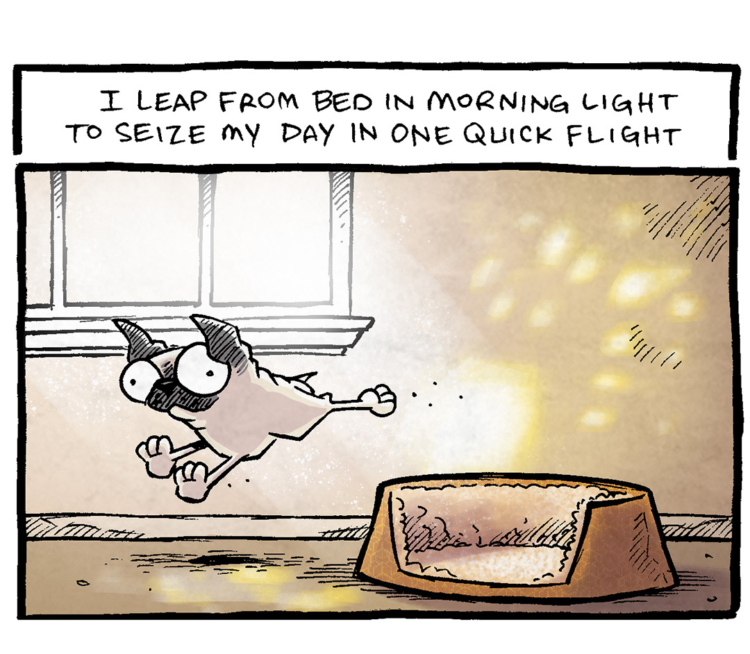 PANEL 1: In a glowing, golden morning light, OSO the fawn pug leaps from his dog bed.
TEXT: I leap from bed in morning light/ to seize my day in one quick flight
PANEL 2: OSO faces away from us, head in his food bowl, his butt illuminated with the warm morning light.
TEXT: I dash to bowls for nourishment/ (Then to a tree I must relent)
PANEL 3: OSO stands on a rock majestically, as the sun rises above the tree line.
TEXT: But how to fill this day of days??/ So much to choose! So many ways!
PANEL 4: OSO, asleep in his bed, under the same window from the morning, this time the light is cool.
TEXT: The answer comes in seconds, yes:/ IT’S BACK TO BED. THAT JUST FEELS BEST.
——
Want 5,000 more comics like this? Join us at Patreon.com/sheldoncomics for the *FULL* Sheldon archives, art giveaways, fun community, and more! Sheldon Comics copyright Dave Kellett. Colors by Beth Reidmiller
