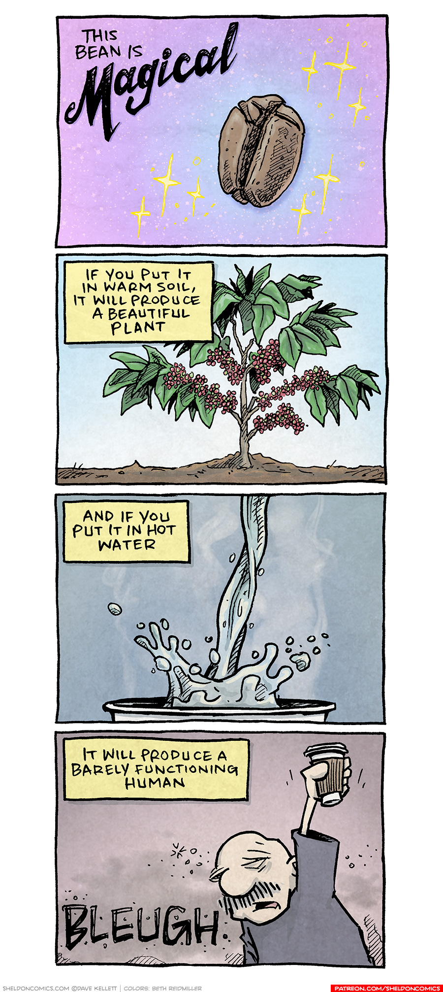 PANEL 1: A coffee bean sits on a sparkly purple-to blue background, with yellow stars.
TEXT: This bean is MAGICAL
PANEL 2: A coffee plant stands in some dirt, red berries hang on the branches with green leaves.
TEXT: If you put it in warm soil, it will produce a beautiful plant.
PANEL 3: Water is poured in to a cup, steam rising.
TEXT: And if you put it in hot water
PANEL 4: GRAMP, an older bald man with a grey mustache, stands holding a coffee cup in the air. His eyes are barely open with big bags under his eyes.
TEXT: It will produce a barely functioning human.
GRAMP: BLEUGH
——
Want 5,000 more comics like this? Join us at Patreon.com/sheldoncomics for the *FULL* Sheldon archives, art giveaways, fun community, and more! Sheldon Comics copyright Dave Kellett. Colors by Beth Reidmiller
