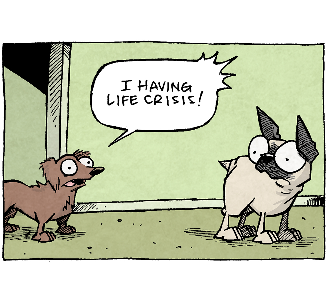 PANEL 1: DIGBY, a brown dachshund stands in a doorway, eyes wide and terrified. OSO, a fawn pug, looks at him.
DIGBY: I having life crisis!
PANEL 2: OSO continues talking while OSO listens.
DIGBY: I find out dachshunds were bred to hunt badgers. BUT I NEVER SEE A BADGER!
PANEL 3: DIGBY leaps, eyes wide.
DIGBY: I A BADGER HUNTER WITH NO BADGERS TO HUNT!
PANEL 4: DIGBY, bags under his eyes, pupils dilated, continues while OSO looks on wide eyed.
DIGBY: …so I bork-bork-bork at the Amazon guy.
OSO: Smart.
———
Want 5,000 more comics like this? Join us at Patreon.com/sheldoncomics for the *FULL* Sheldon archives, art giveaways, fun community, and more! Sheldon Comics copyright Dave Kellett. Colors by Beth Reidmiller