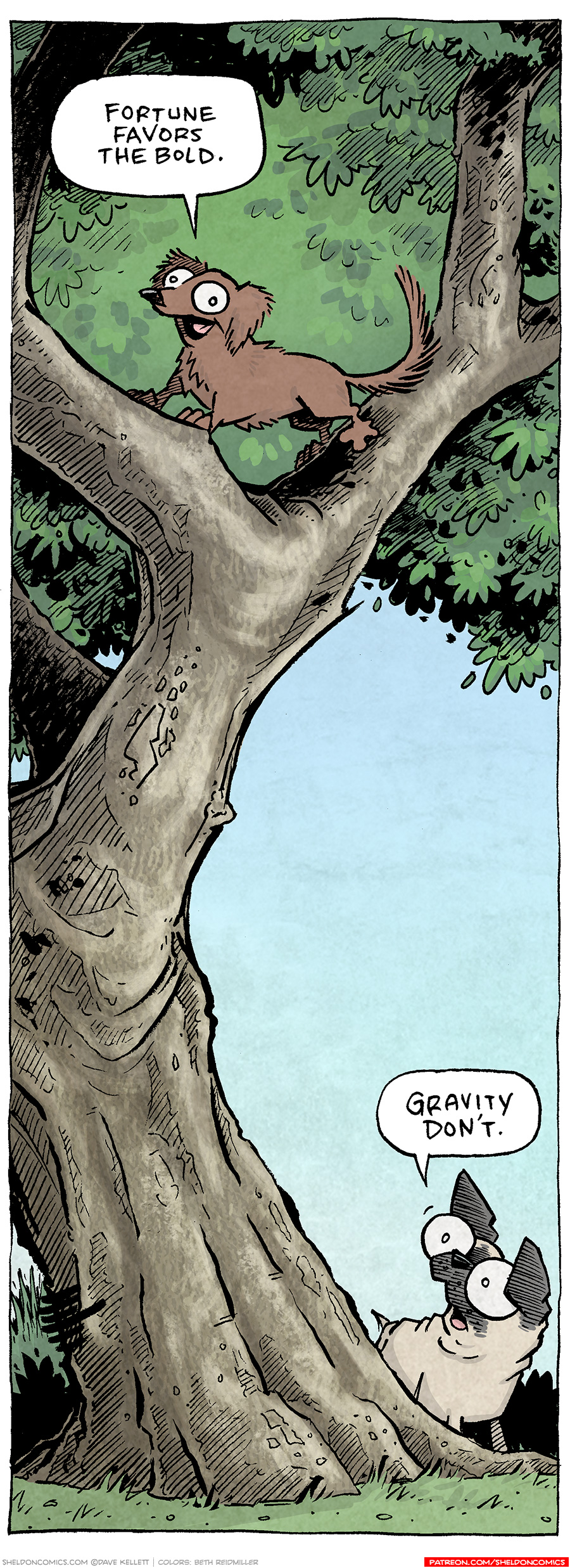 This single-panel comic shows a big tree with forking branches - perfect for climbing. The grass below is green, the sky behind is blue. The foliage of the tree is thick and green. Standing wide across one of the forking branches high up is DIGBY, a brown dashchund. Below on the ground is OSO, a fawn pug, looking up at DIGBY.
DIGBY: Fortune favors the bold.
OSO: Gravity don’t.
——
Want 5,000 more comics like this? Join us at Patreon.com/sheldoncomics for the *FULL* Sheldon archives, art giveaways, fun community, and more! Sheldon Comics copyright Dave Kellett. Colors by Beth Reidmiller